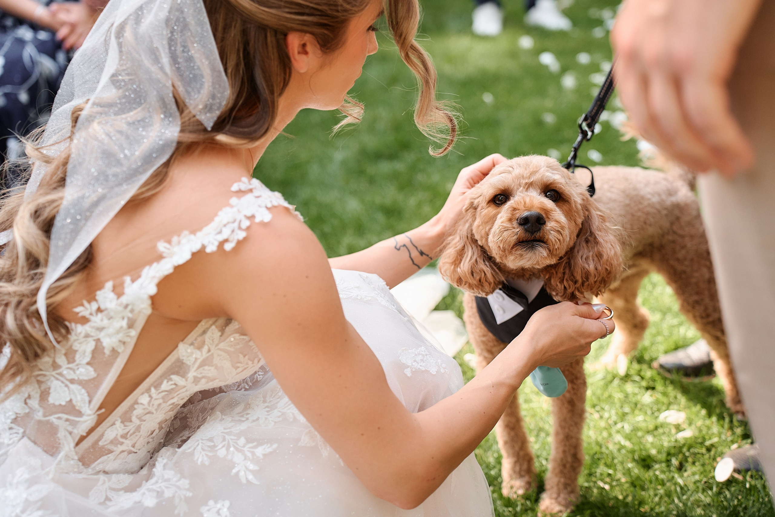 Adrianna & Nicholas. Professional Wedding and event photographer USA New York