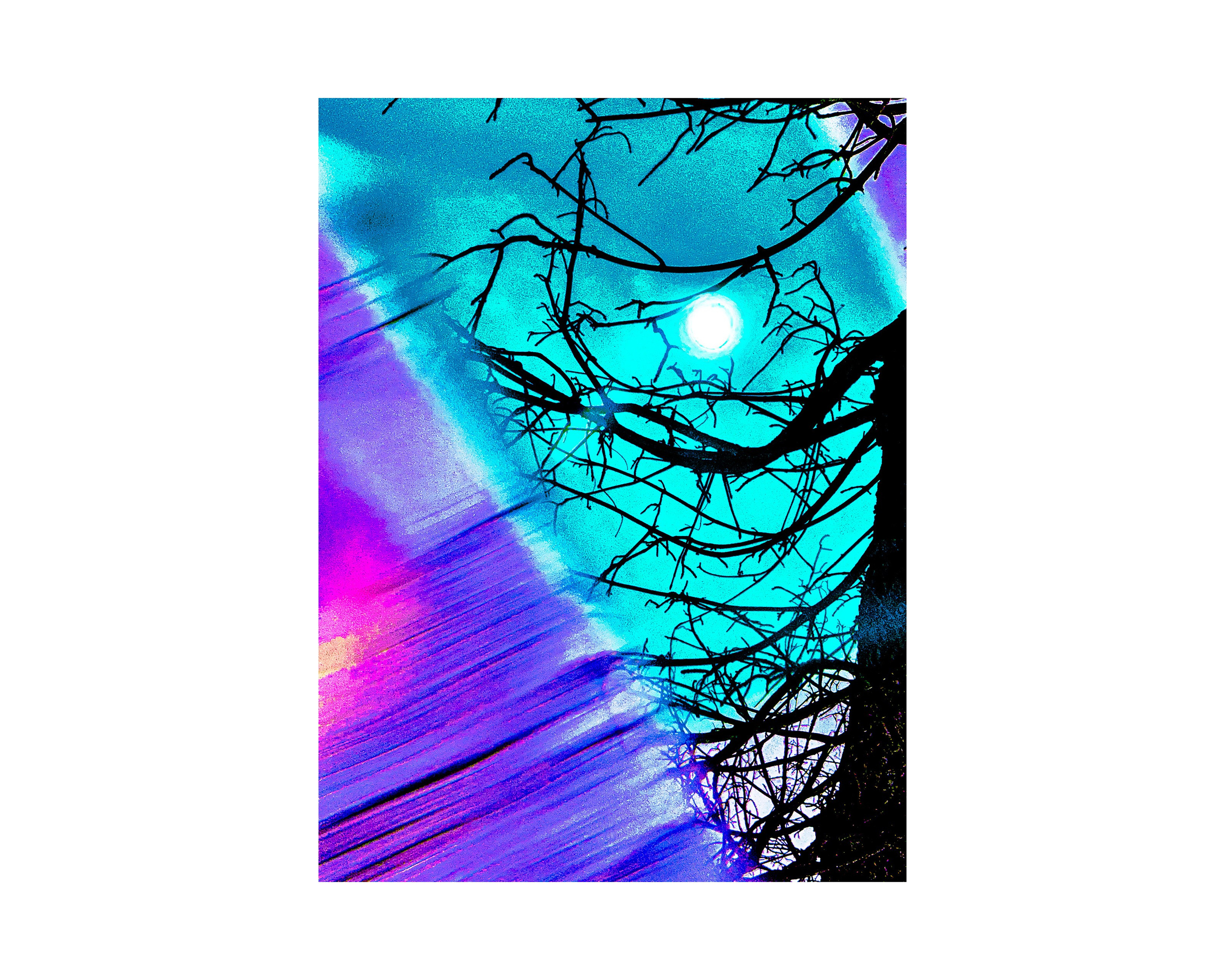 Nature from Exaggerated Worlds. Ekaterina Tsurkina-Appina Photography Canada