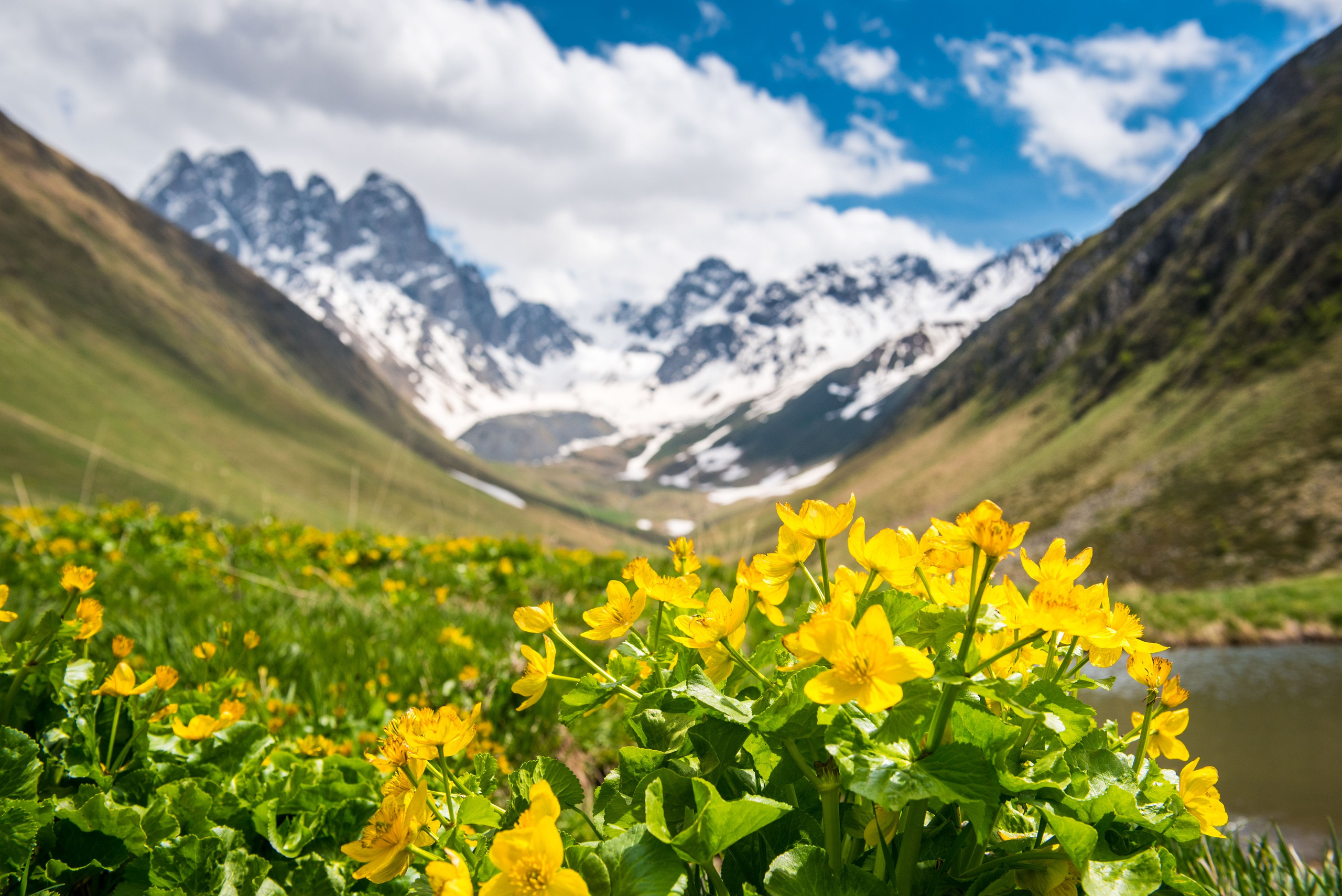 Juta. Photographer in Tbilisi