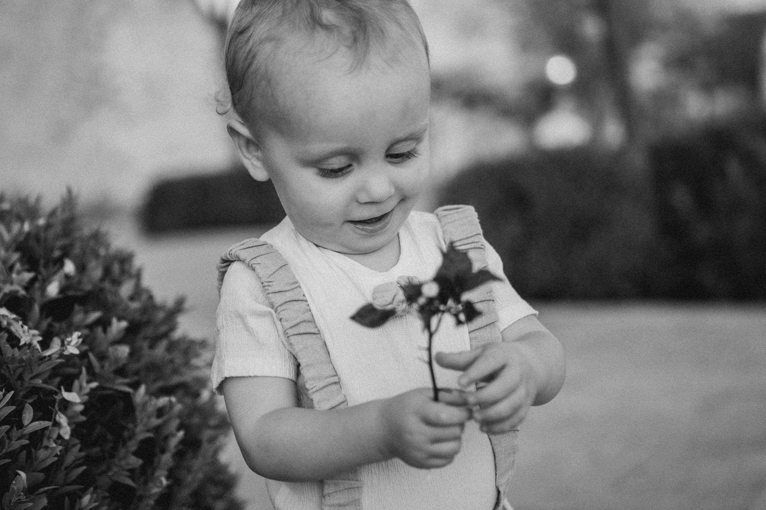 JERUSALEM CENTER. Https://shi-photo.com/