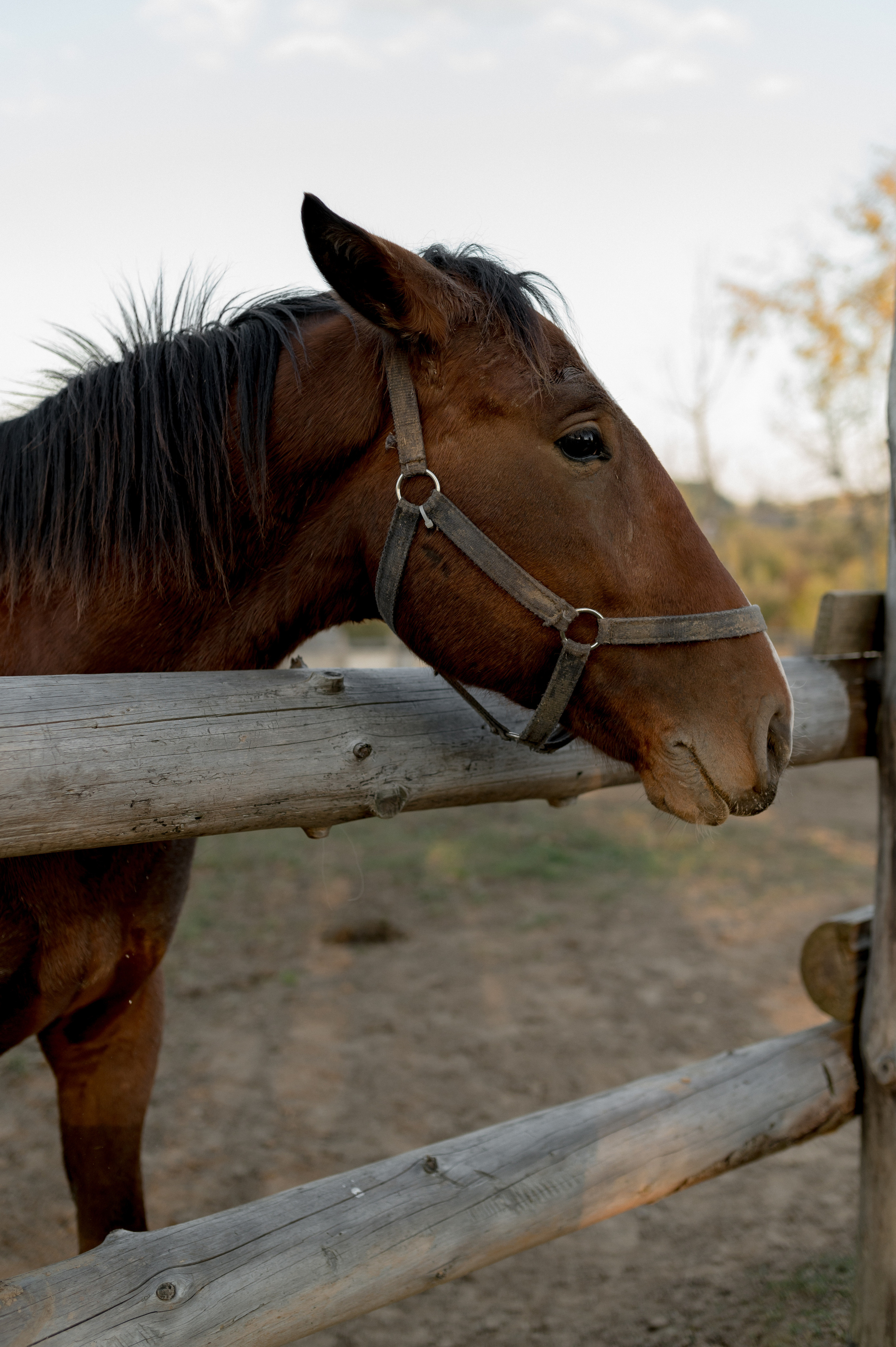 Marat, Kristina, Nazar and Kamila, 2021. Wedding photographer in Wroclaw Warsaw Krakow Margarita Tuleiko