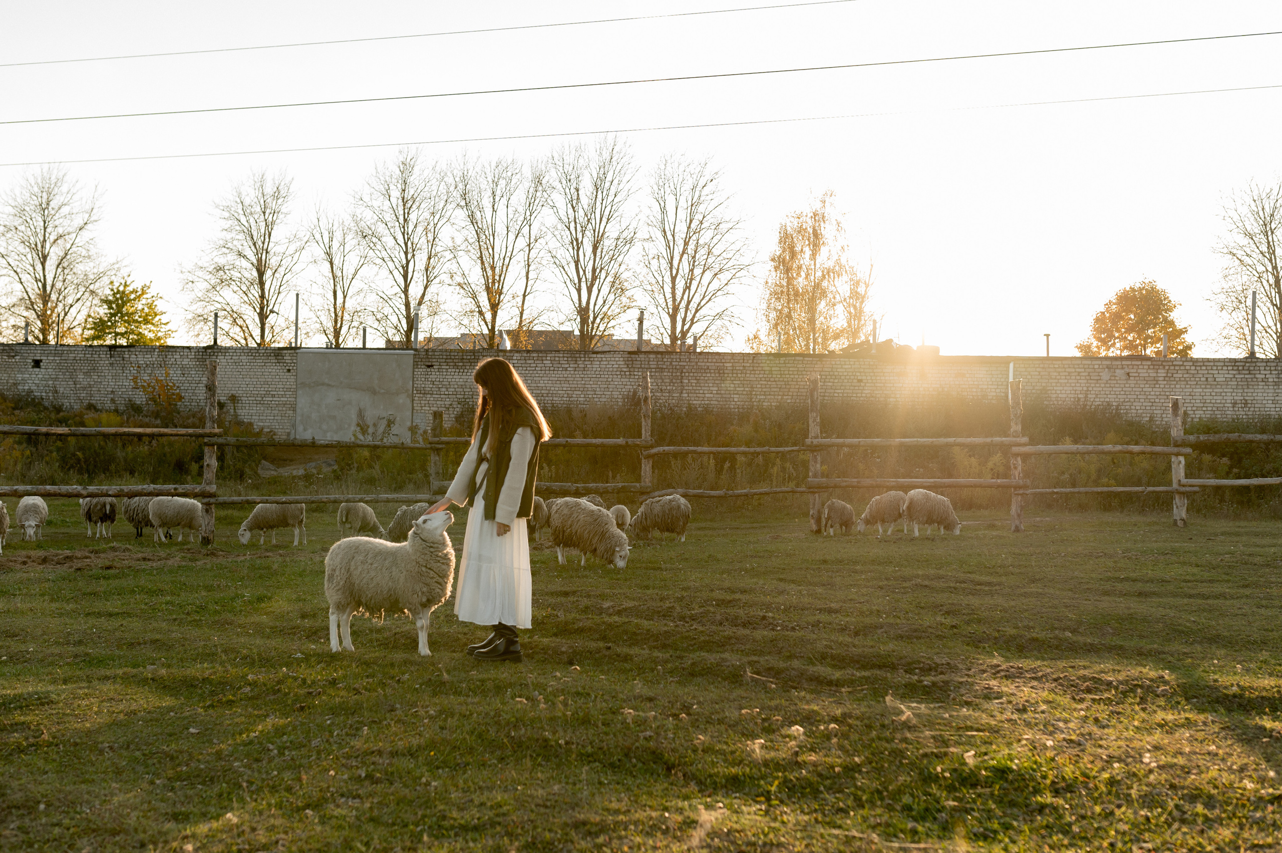 Marat, Kristina, Nazar and Kamila, 2021. Wedding photographer in Wroclaw Warsaw Krakow Margarita Tuleiko