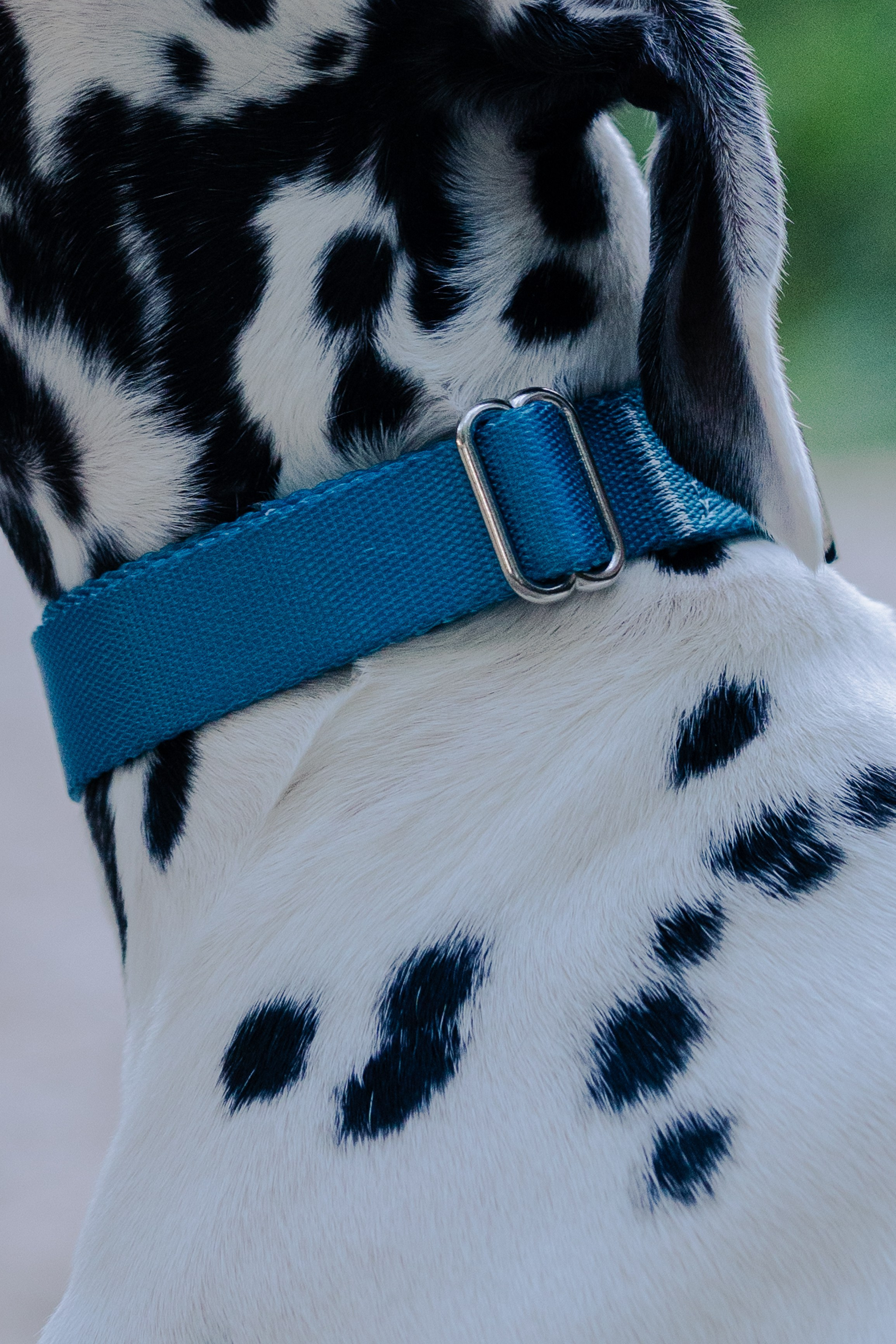 Wo.cherie. Lisbon Event Photographer