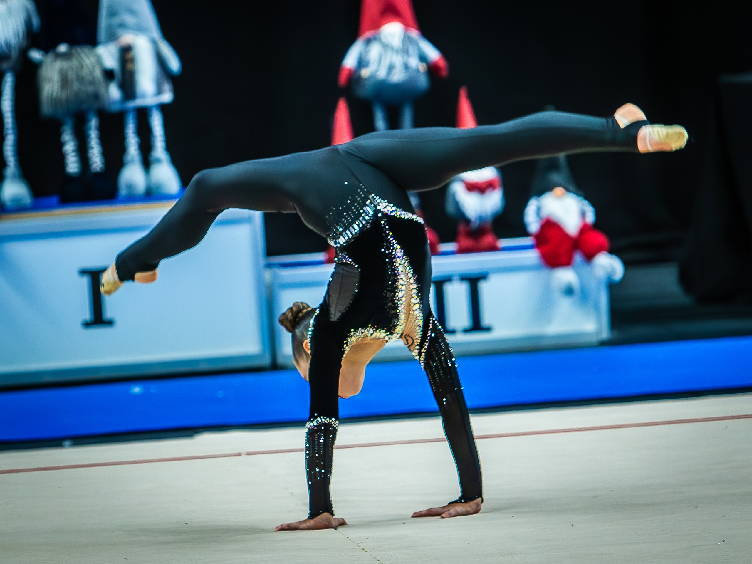 Галерея 1. Спортивная фотография, видео, трансляции