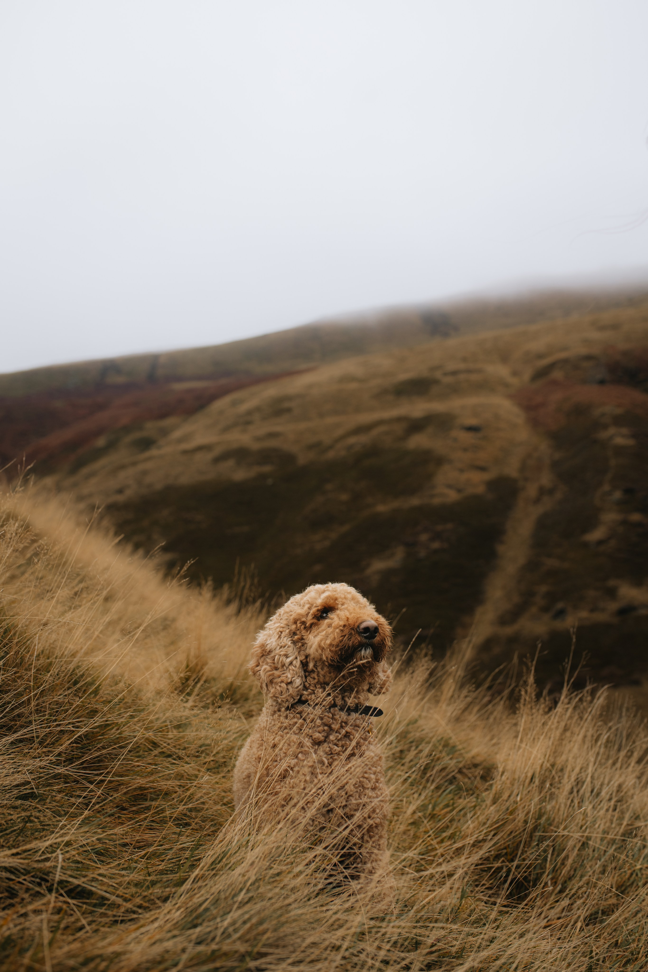 L & C in Peak District. Tania Gandrabur, photographer in West Midlands, England