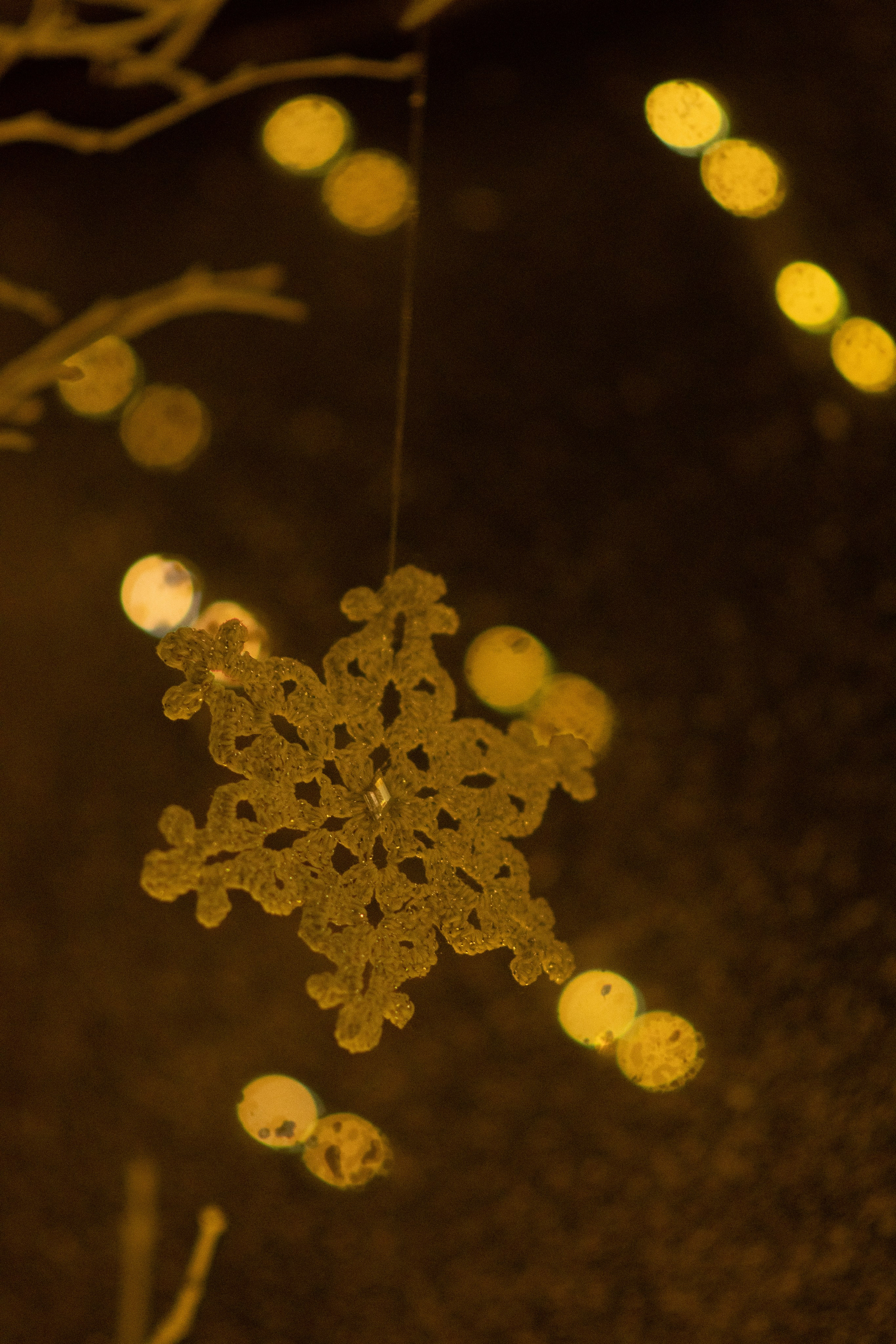 Проект. Семейный и детский фотограф