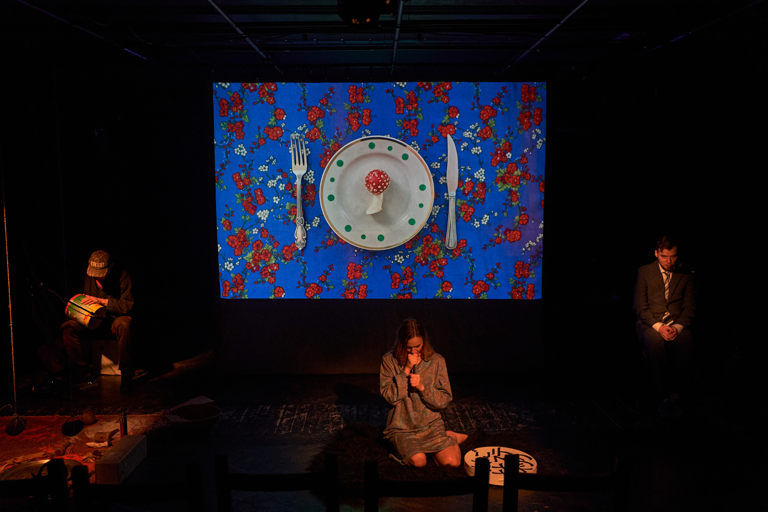 Forest. Mushrooms. Singularity Film