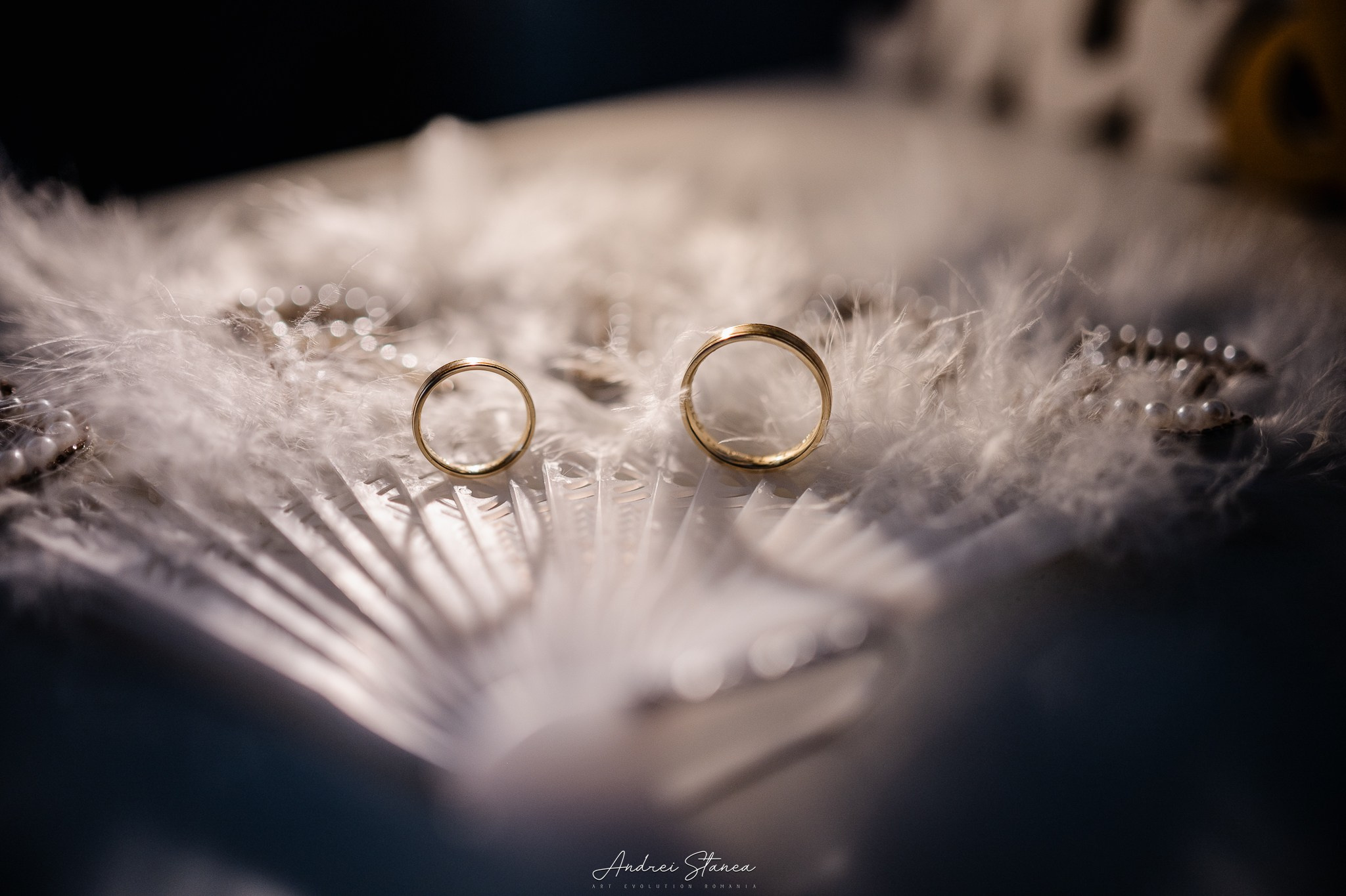 Portofolio. Andrei Stanea