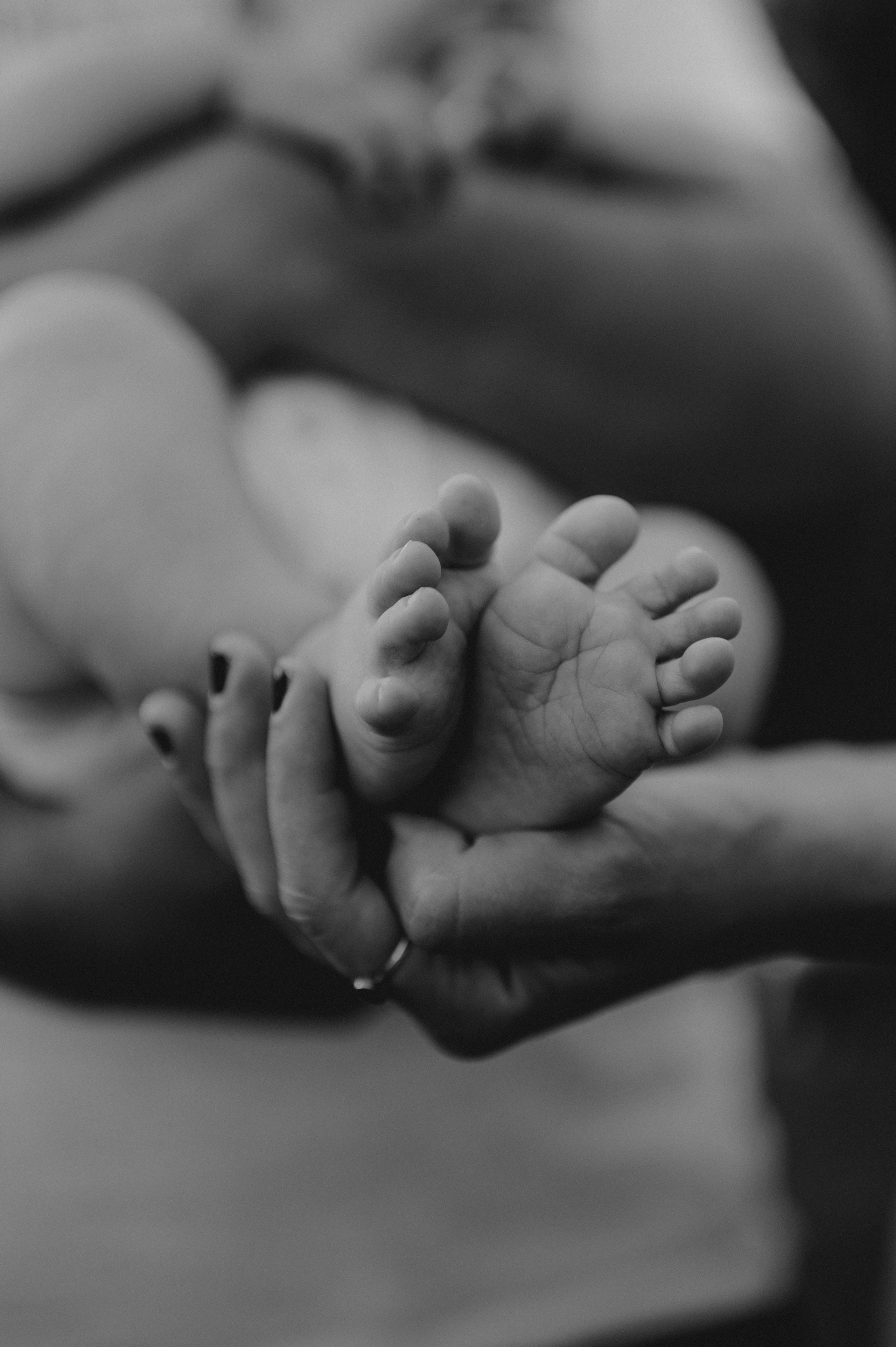 Živkovići. Ana Sladojevic