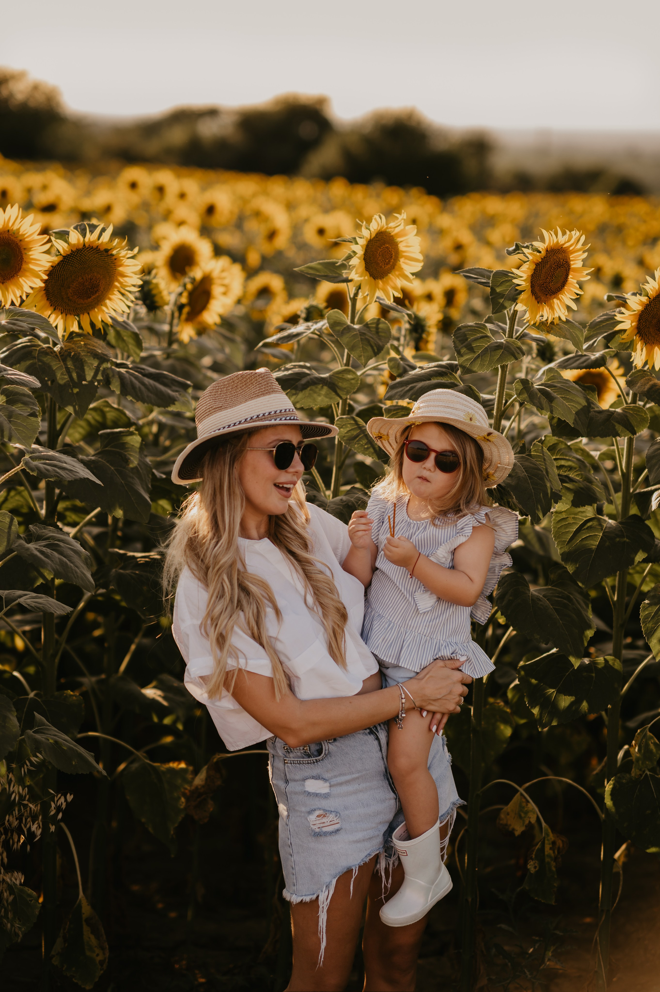 Polje suncokreta. Ana Sladojevic