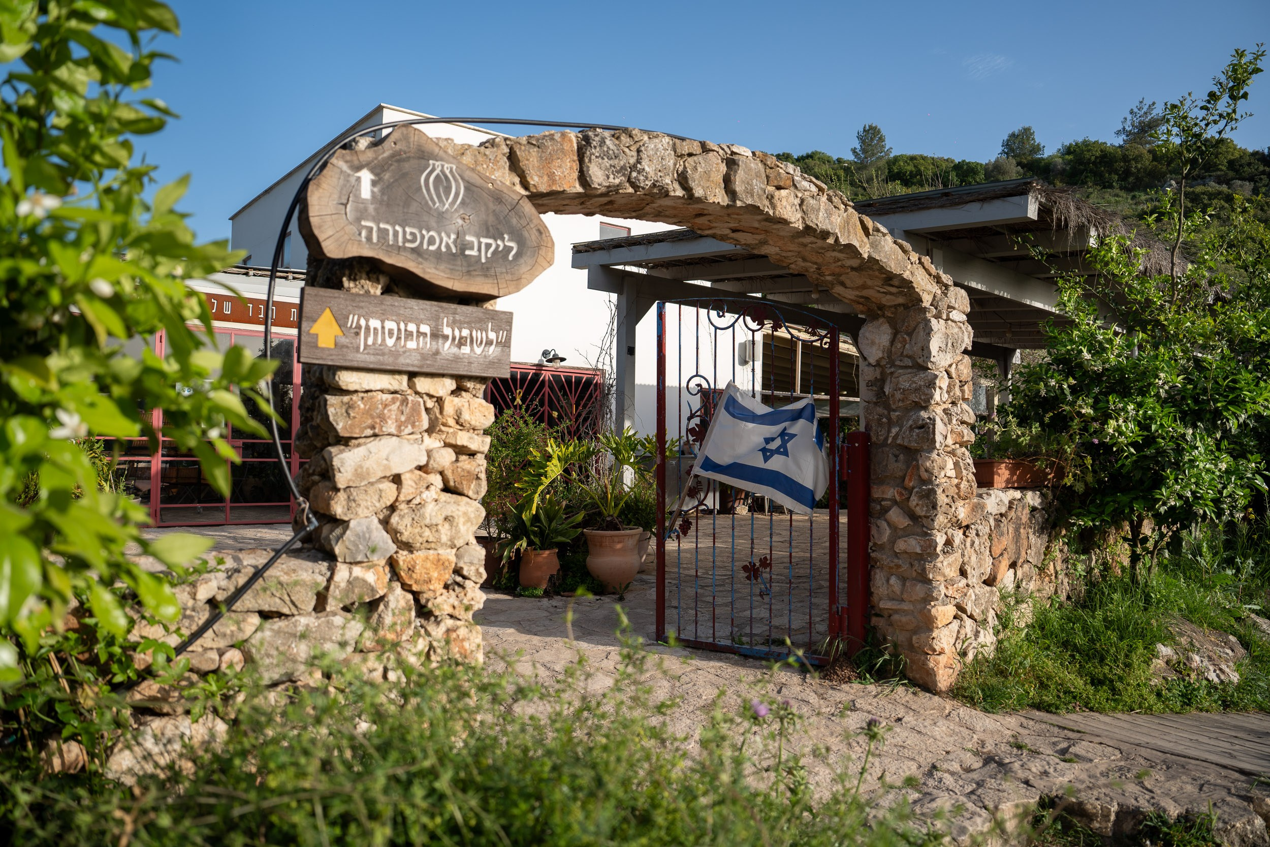 Tzipi & Ron — Wedding in Emek Hefer, Israel — Gershon Abramashvili