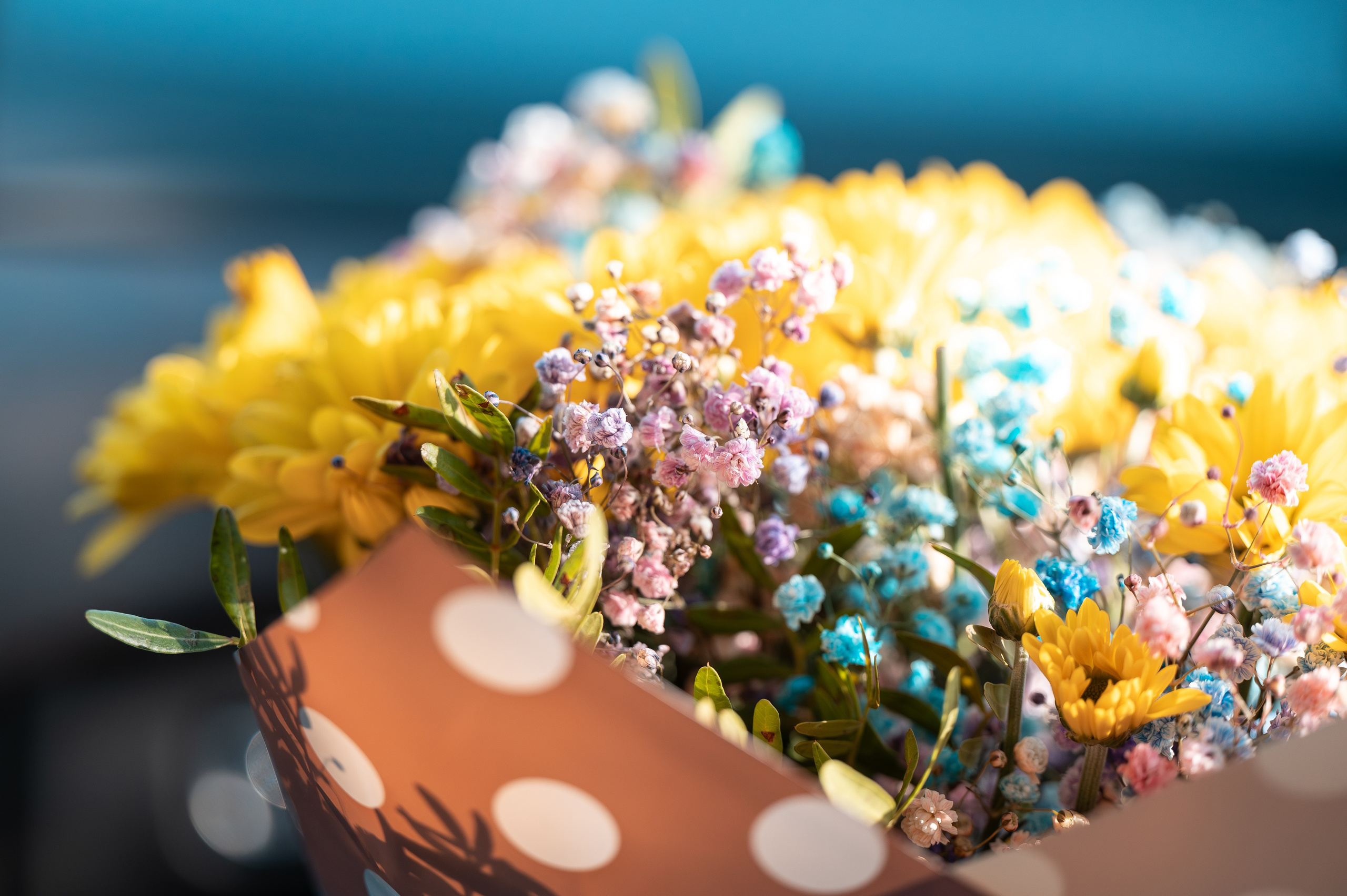 Свадьба и семья. Фотографы Дарья и Дмитрий Арсентьевы