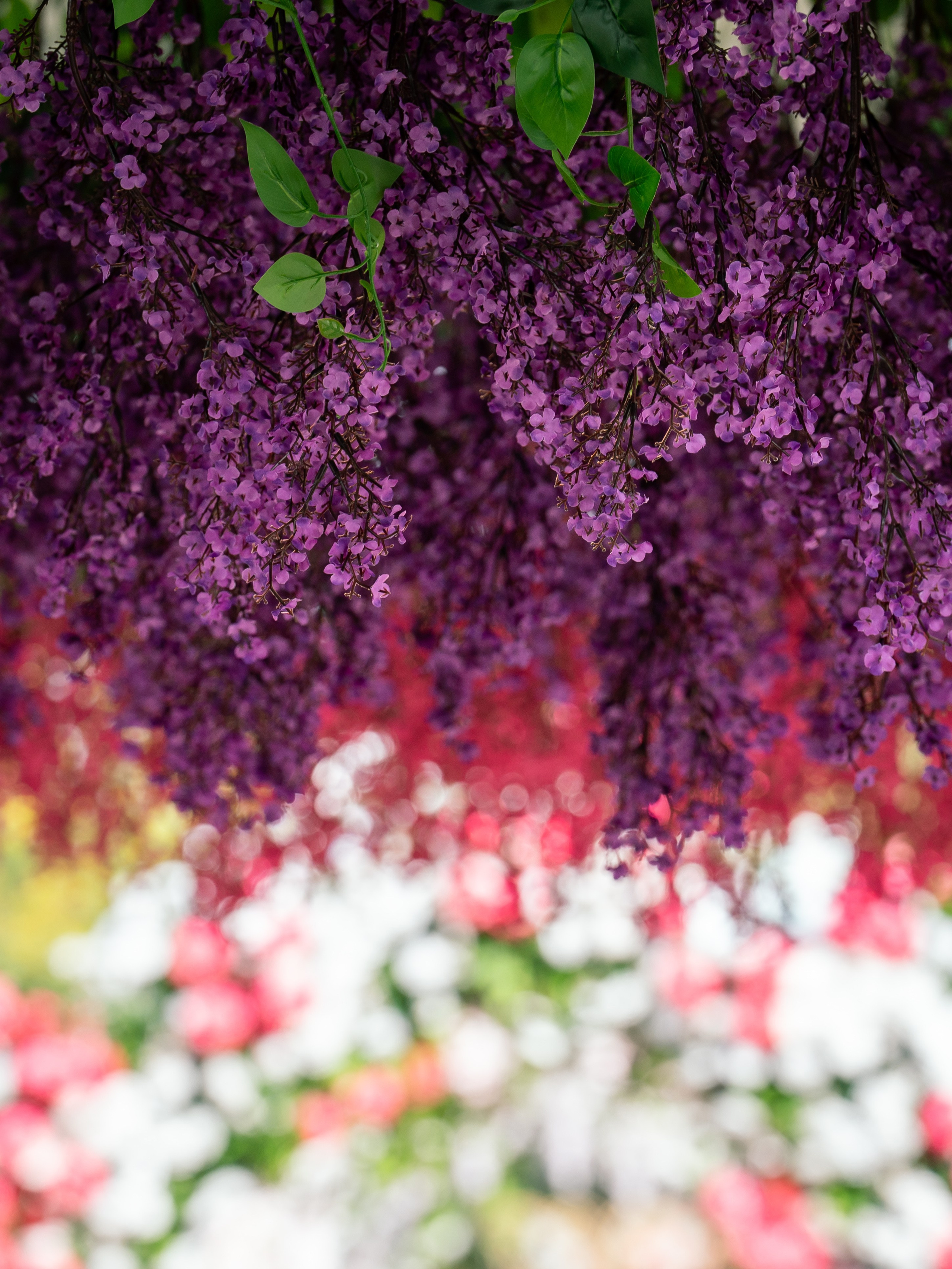 Flower Fest 2026