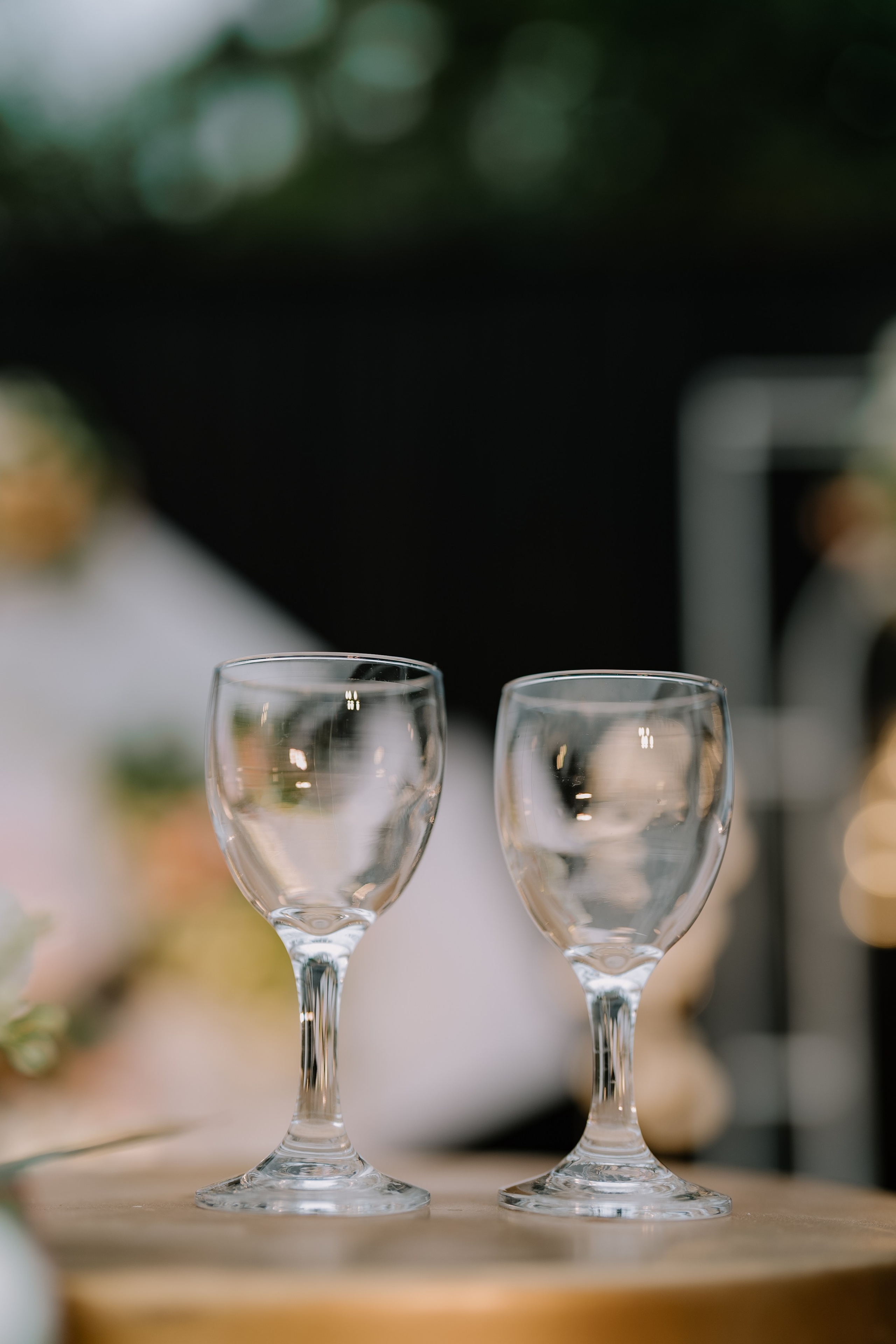 Engagement Ft. Aneesha & Mathew. Fine art Wedding Photographers in India & Canada