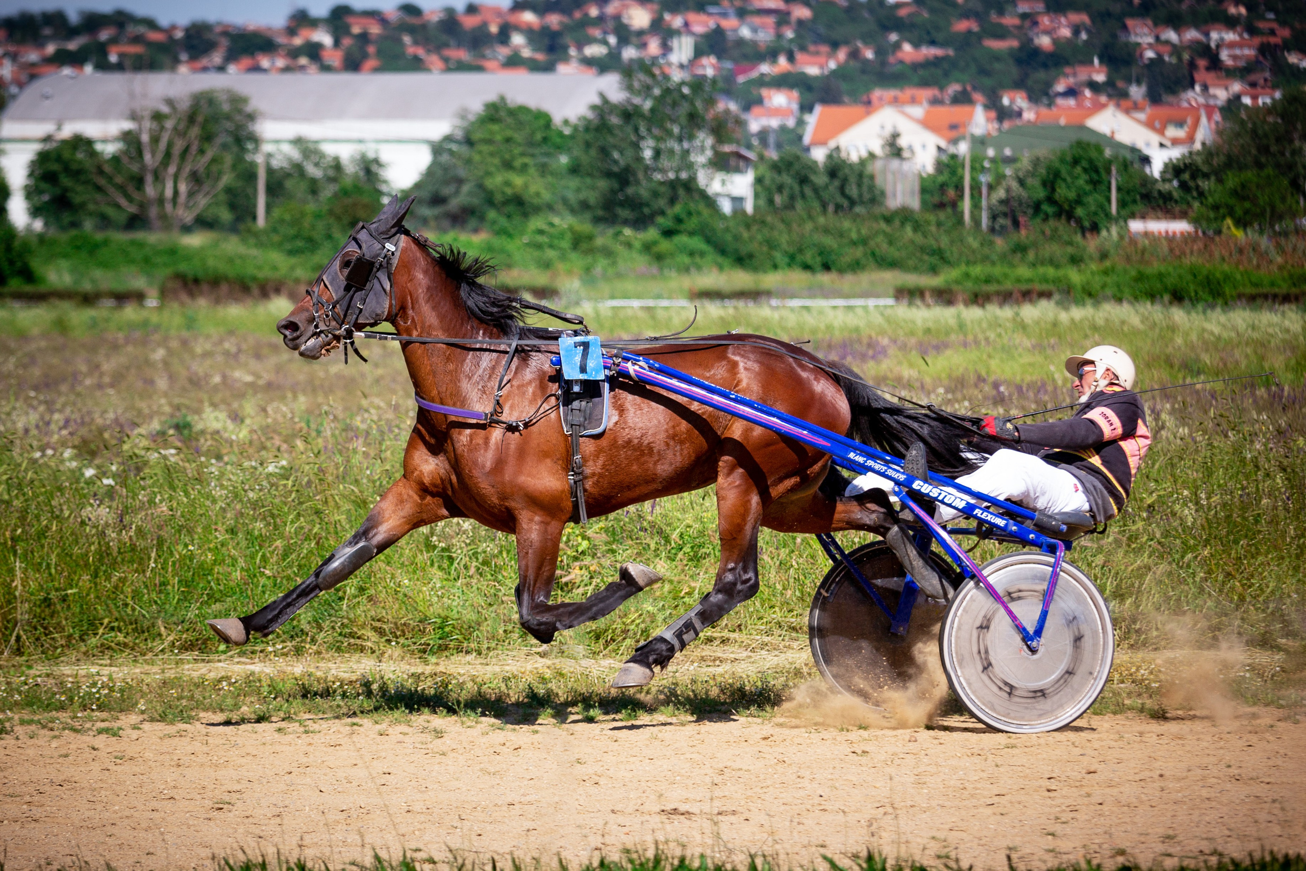 Konjičke trke u Požarevcu. Fotoivanpancevo