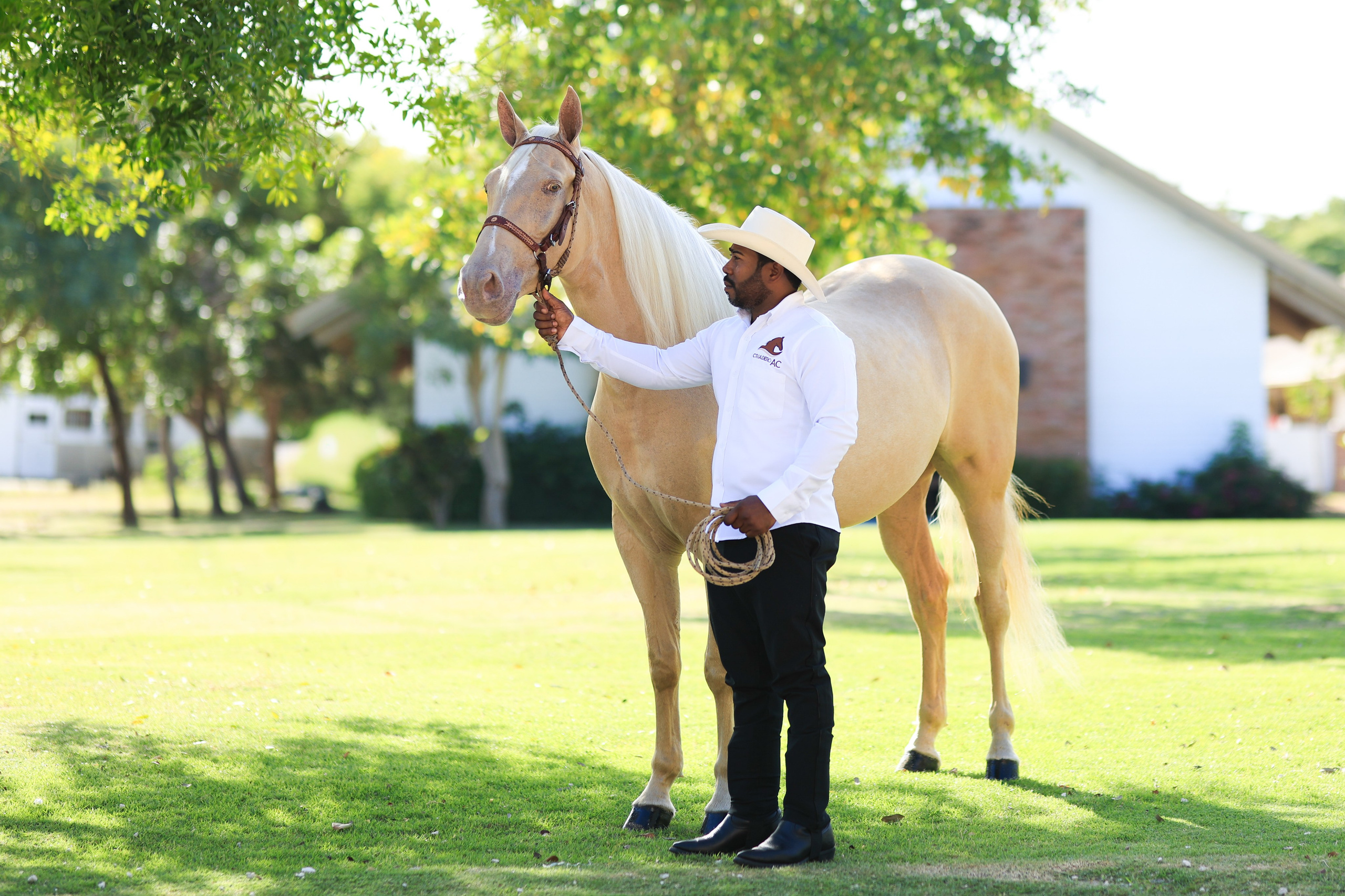 Criadero AC - Documental. VisualAvalon