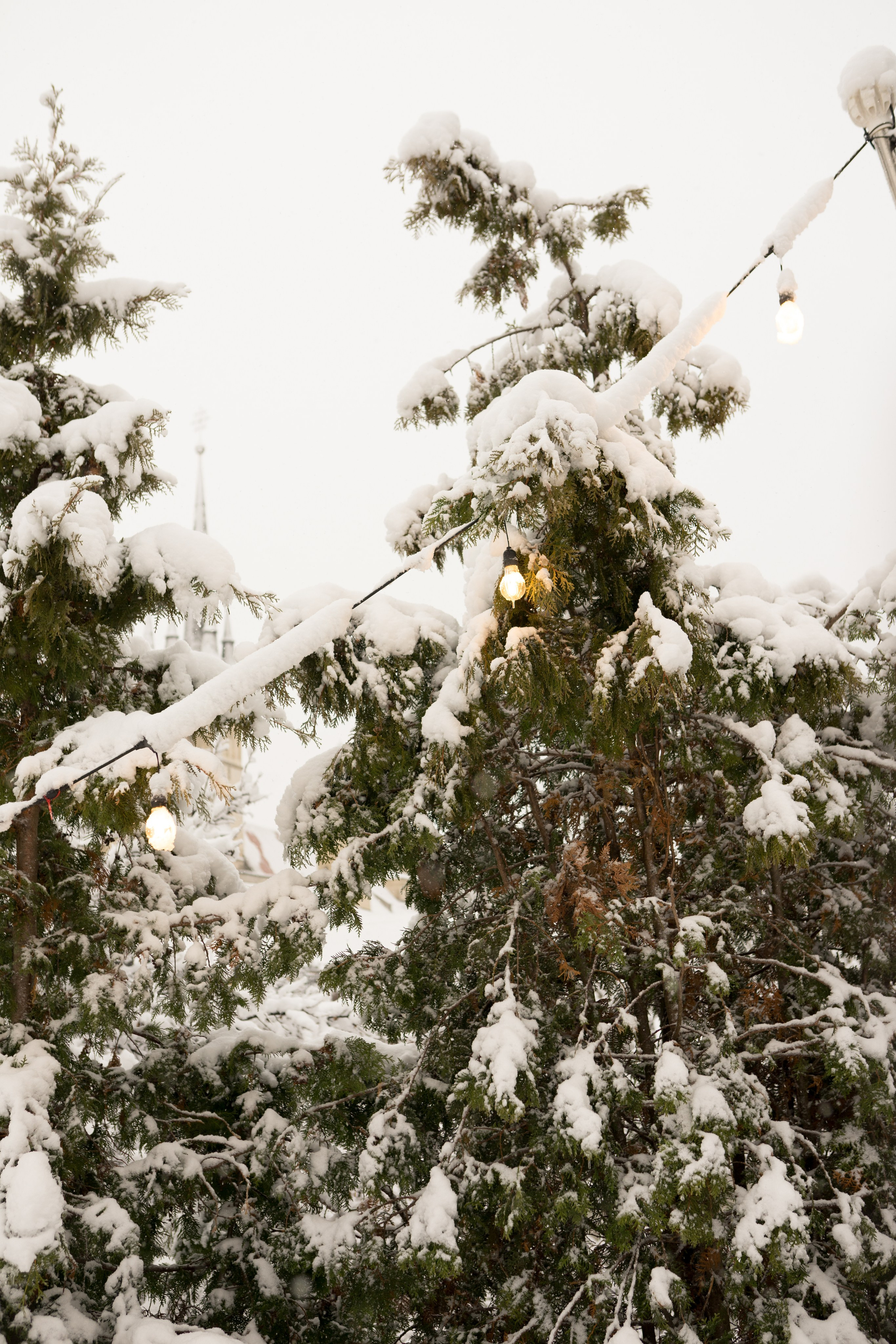 Fotografie de Eveniment Brașov: Povești Vizuale | Mădălina Beda. Madalina Beda- Artist vizual, fotograf, doula la nastere, consultant babywearing Brasov si in toata tara