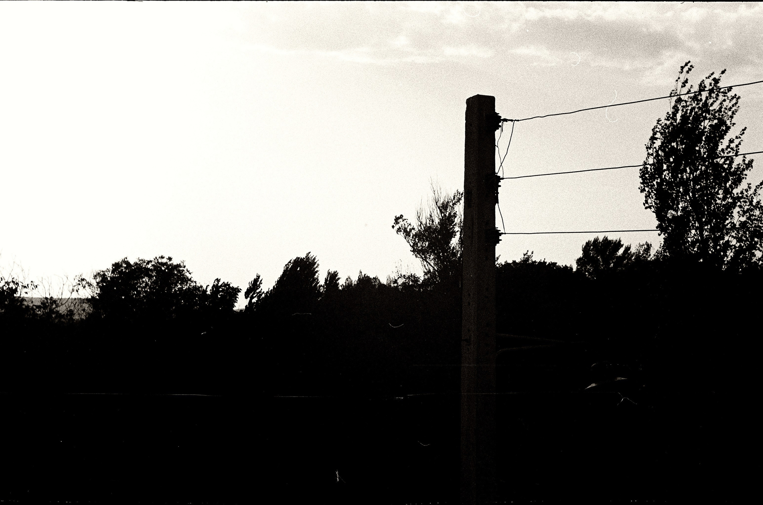 Personal Photography. Arman Milani, Brand-Focused Video Production & Content Creation, Based in Berlin