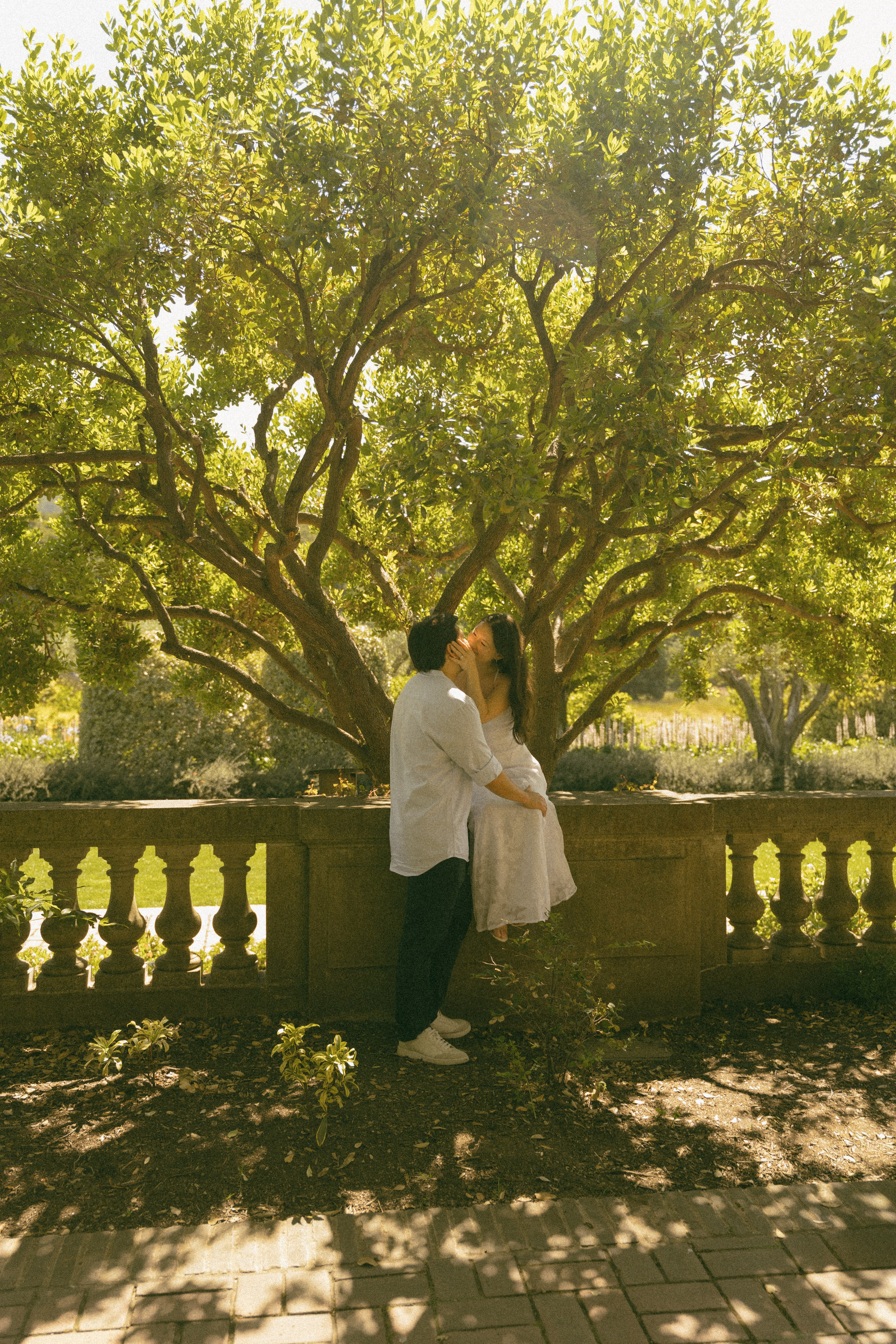 Engagement | Filoli Garden. Sacramento & Bay Area Candid Photographer | photography_of.nadia