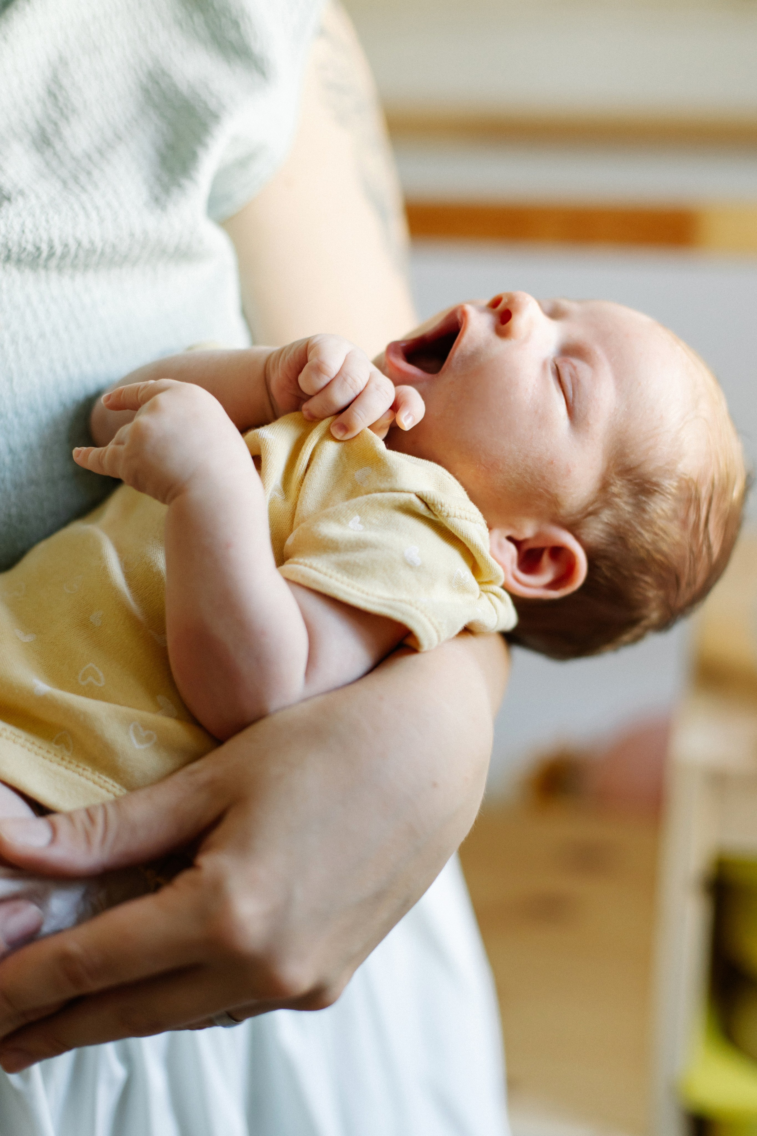 Ella 2 month. Family photographer in Israel