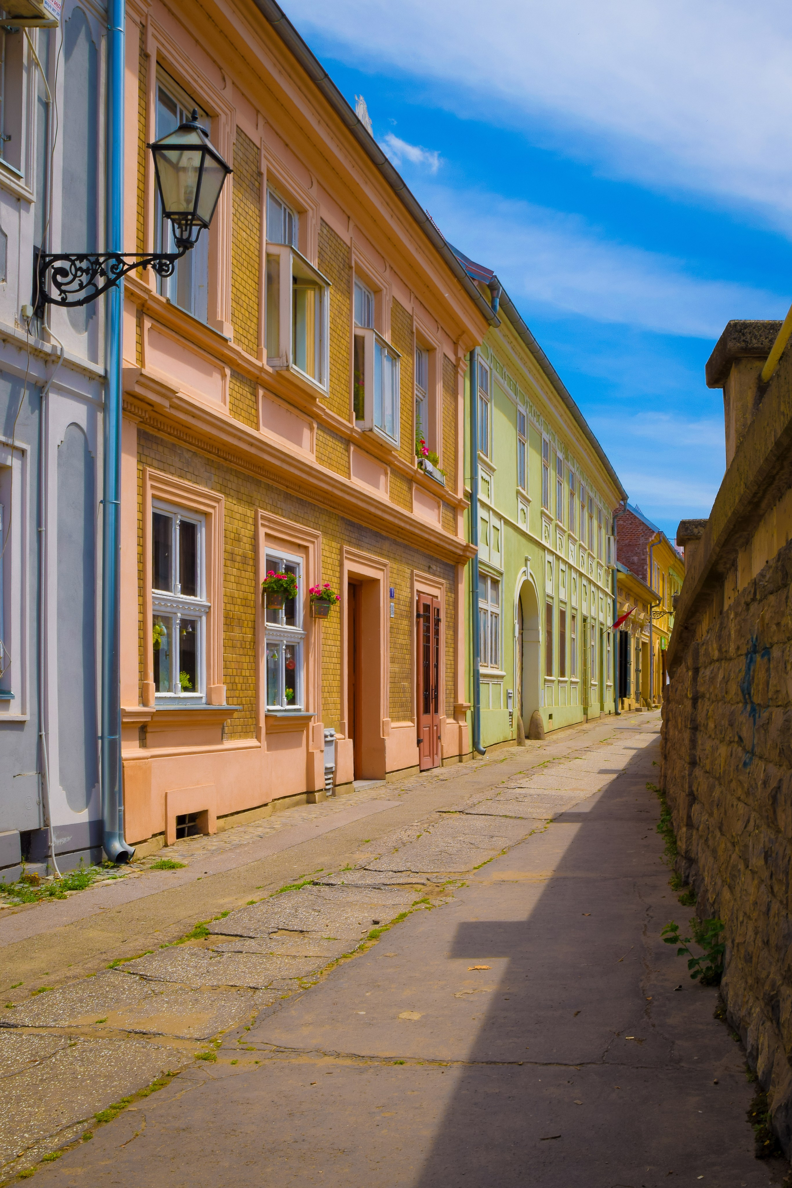 Петроварадин - галерија на продају. Викторија Федосеенко, фотограф у Србији