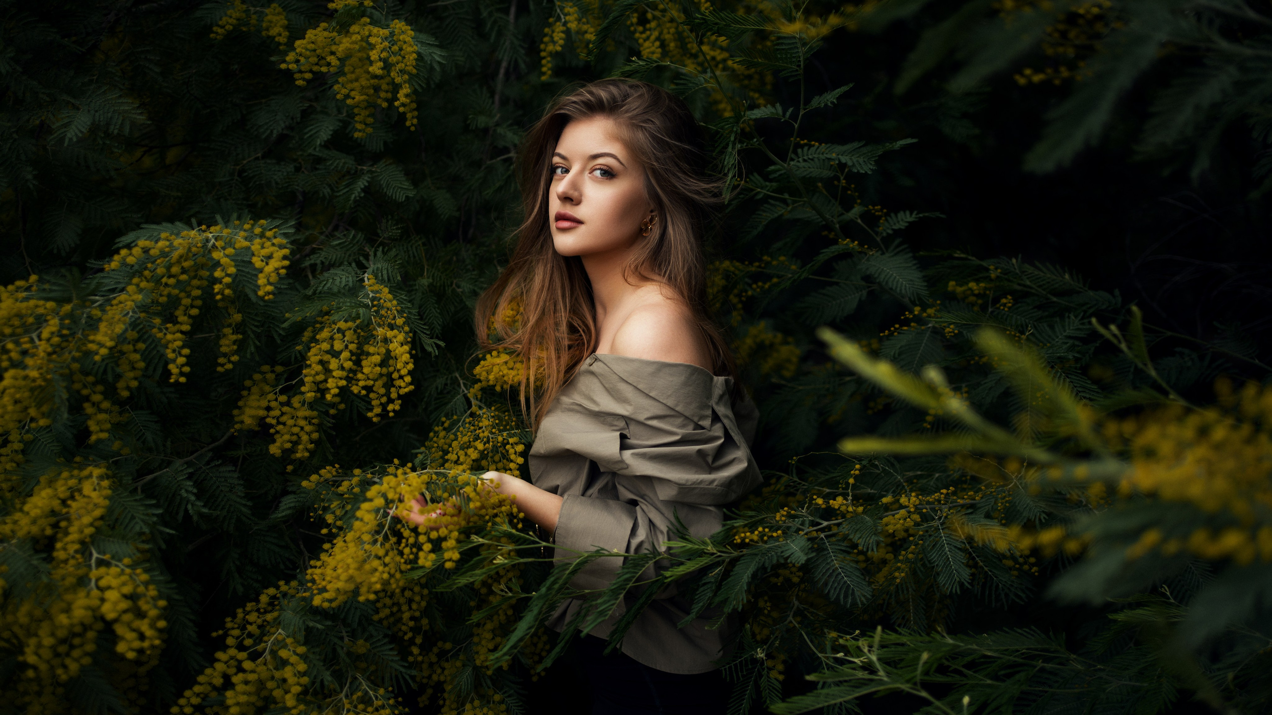 Alexandra. Главная