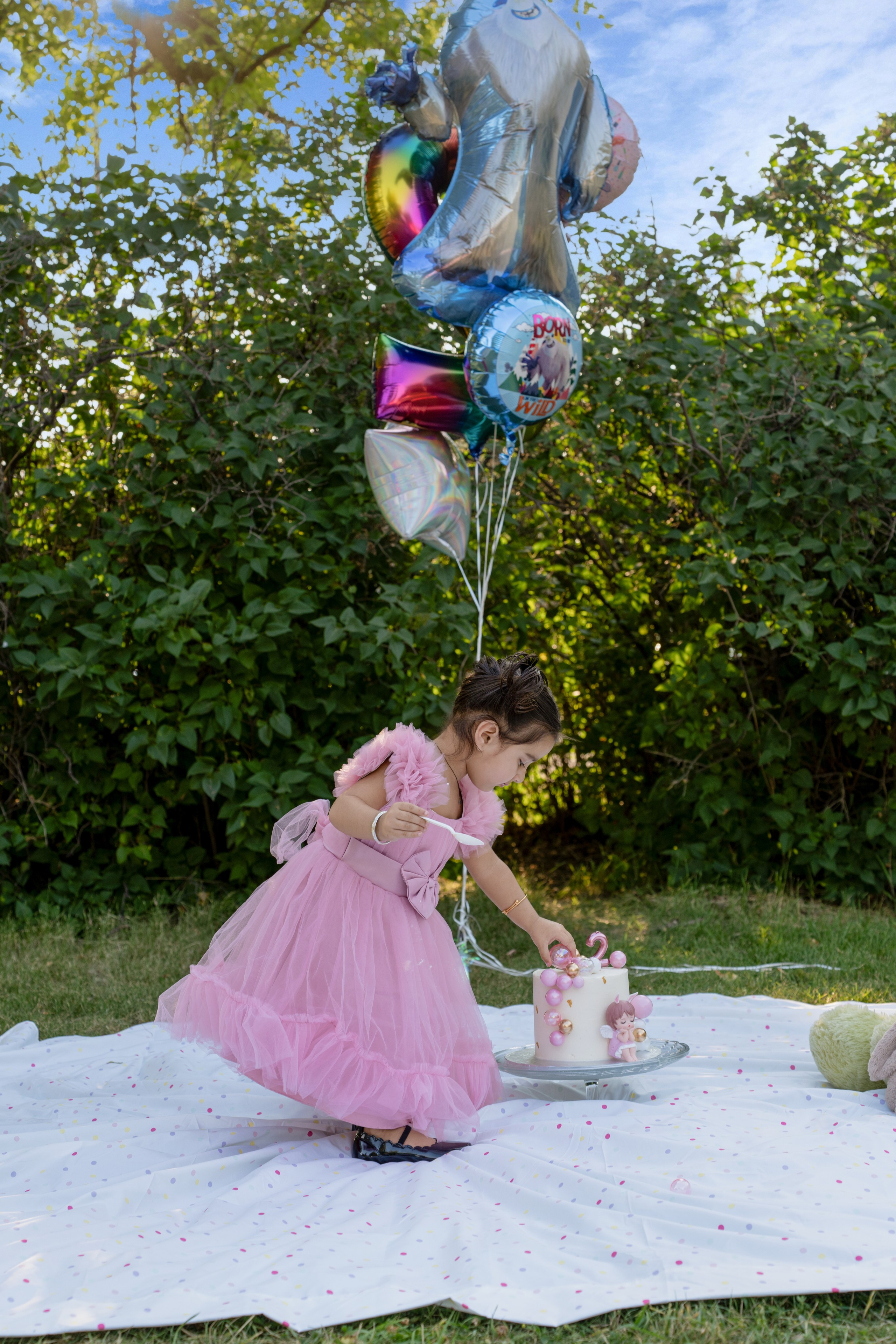 Sukhpinder Family. Engagement, Wedding & Family Photographer in Calgary | allo Photography