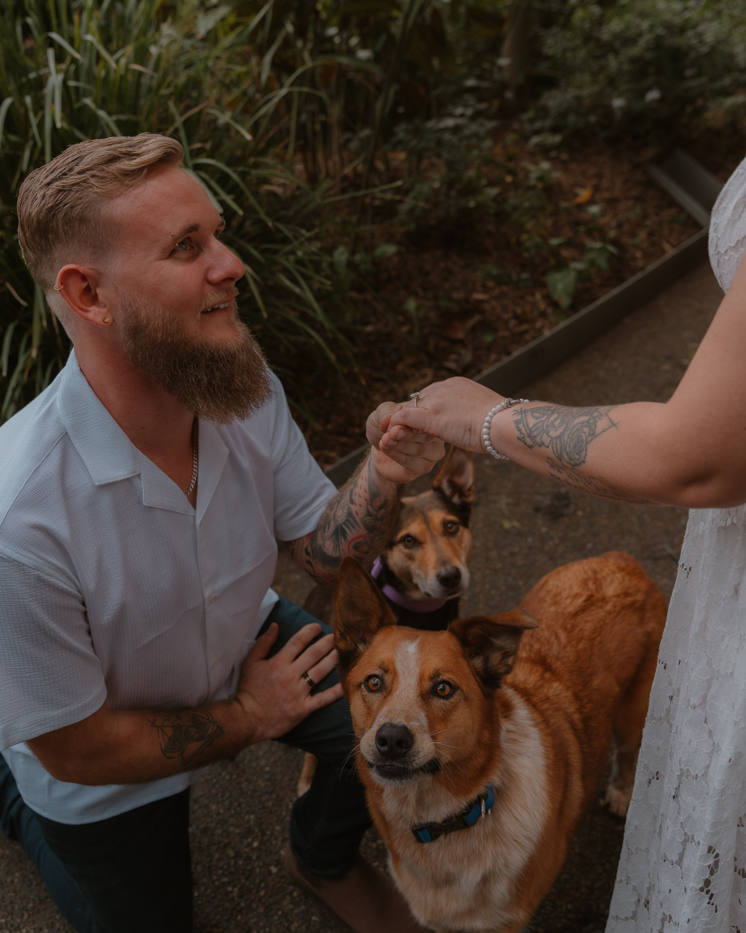 Engagement — Tom & NIkita. JS Photoshoot | Family, Events & Pet Photographer in Brisbane