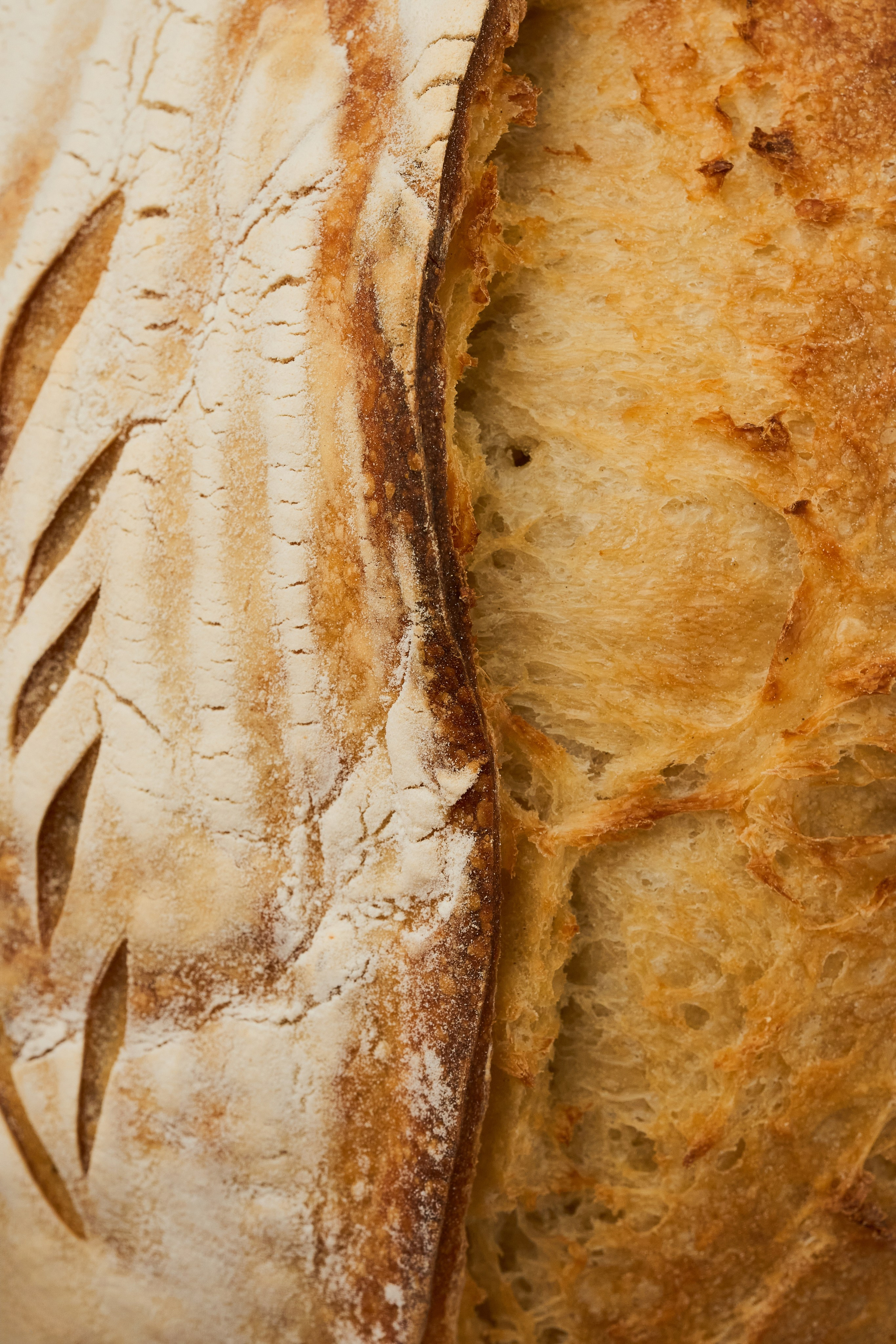 Panni bakery. Фотограф| Кишинев, Молдова