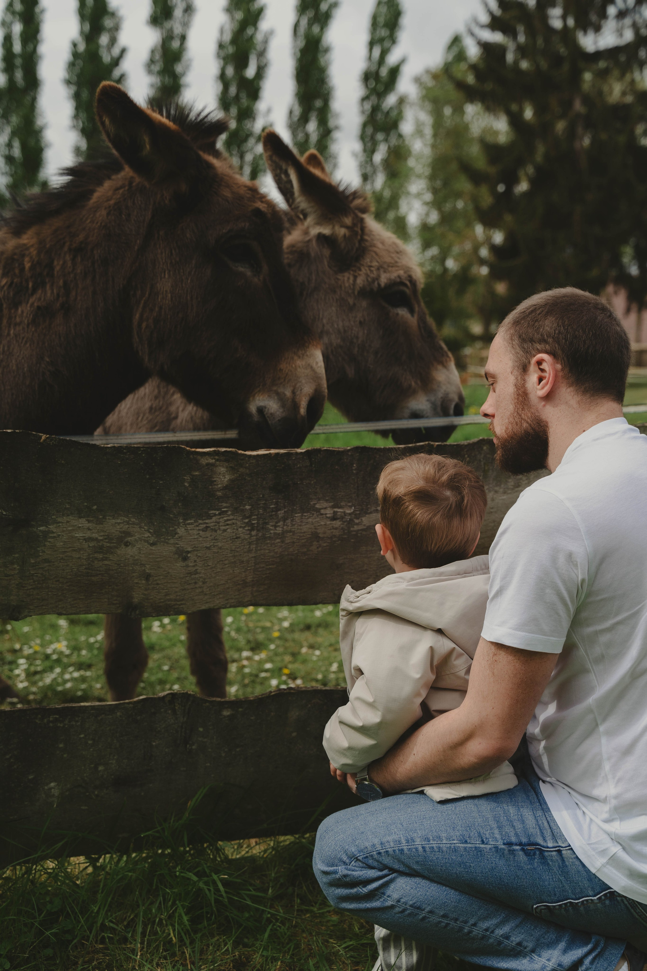 Krystale & Clément. Weeding photographer / event / portrait
