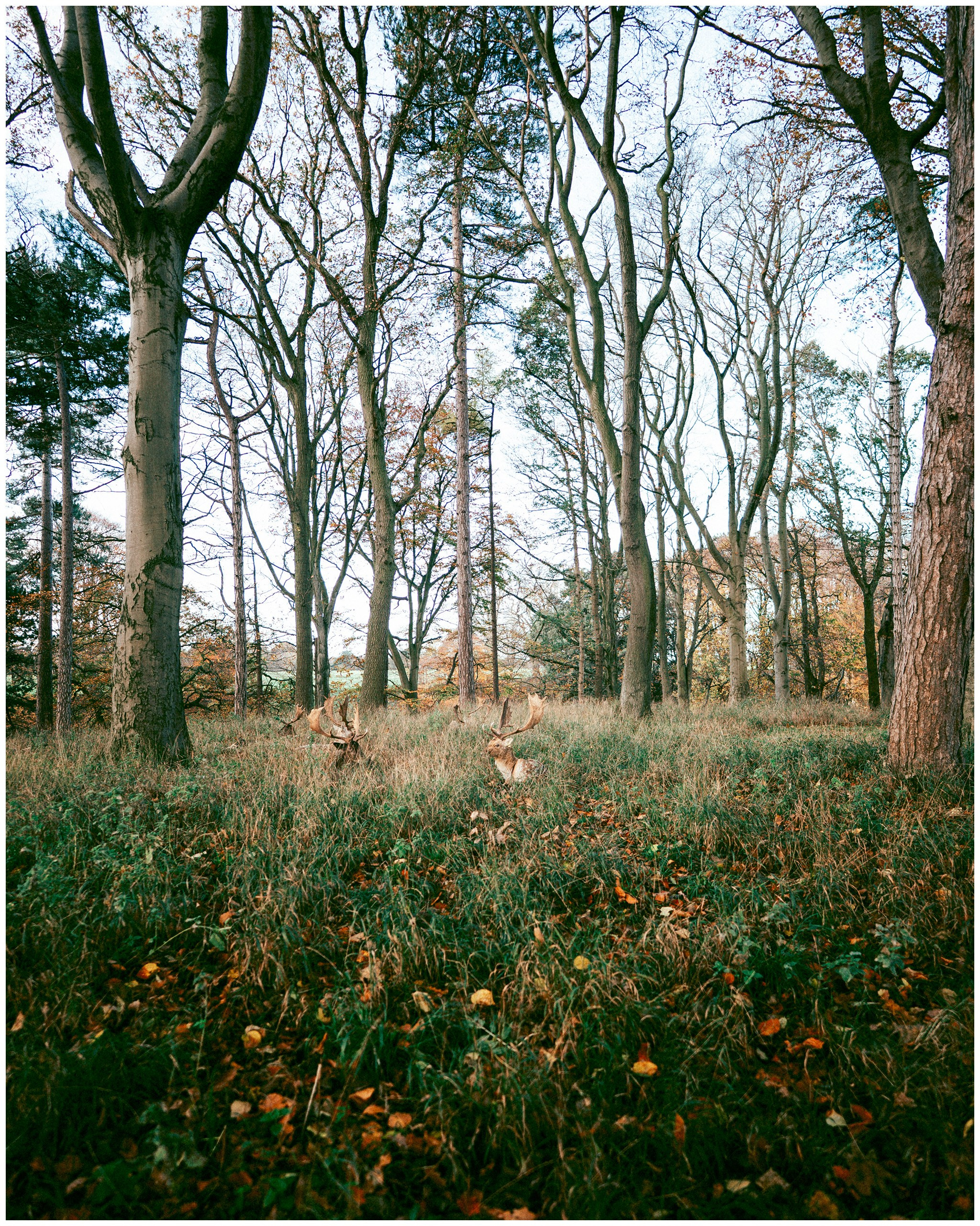 IRELAND. Inna Mendelson — Photographer