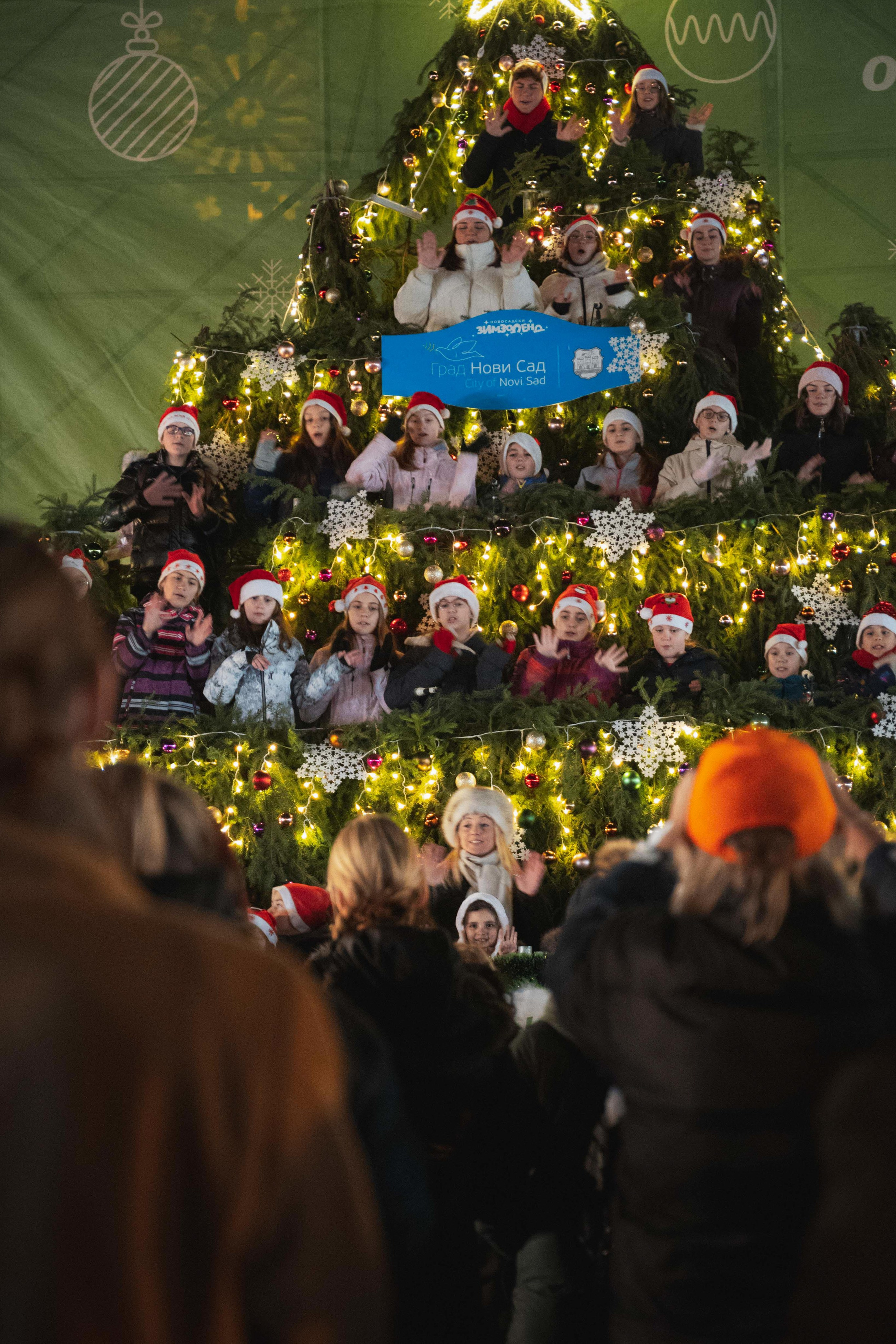 Novosadski Zimzolend. Жуков Студио