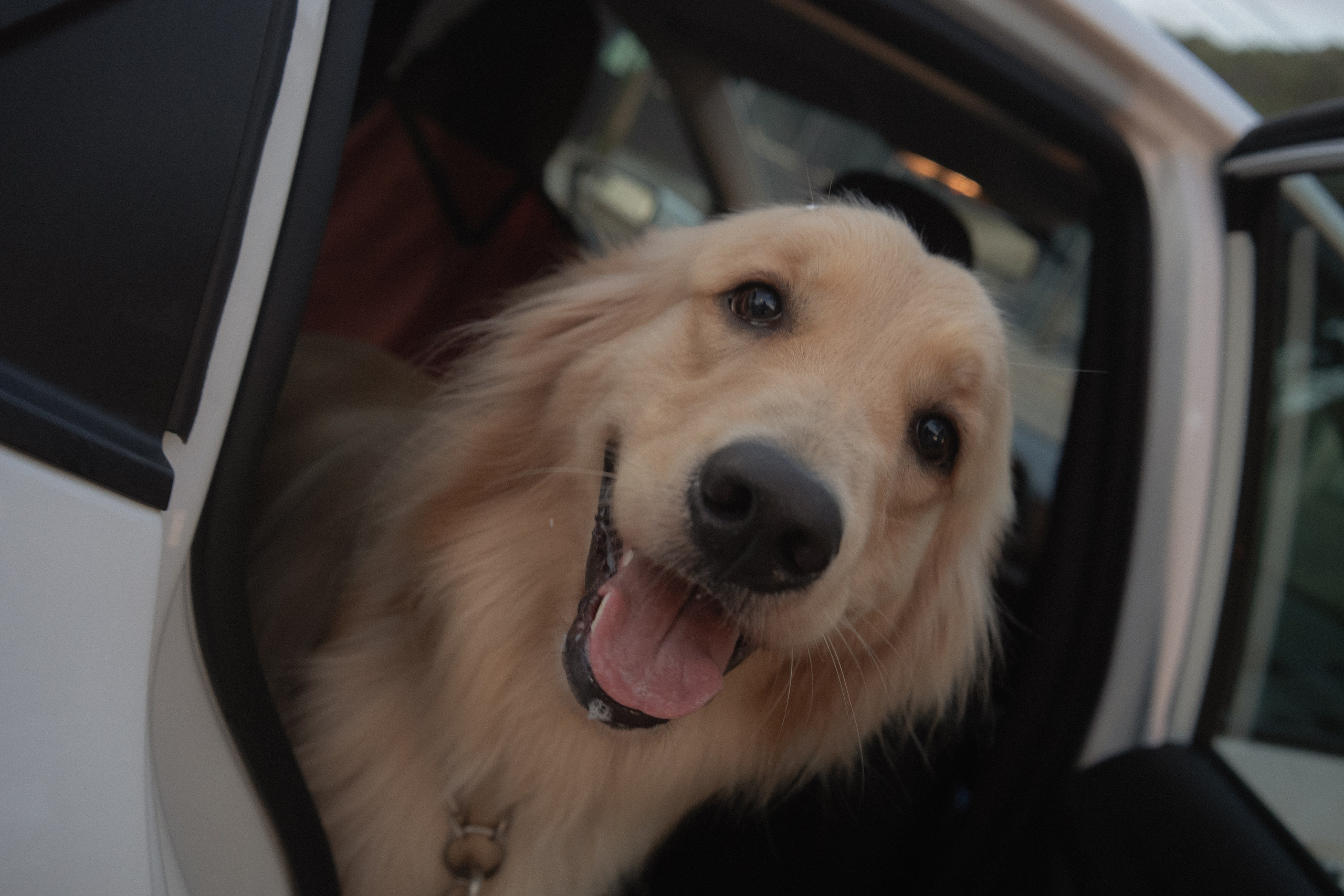 Isabella & Rodrigo | Vila Velha — ES. Lembrar não é só ver. É sentir de novo
