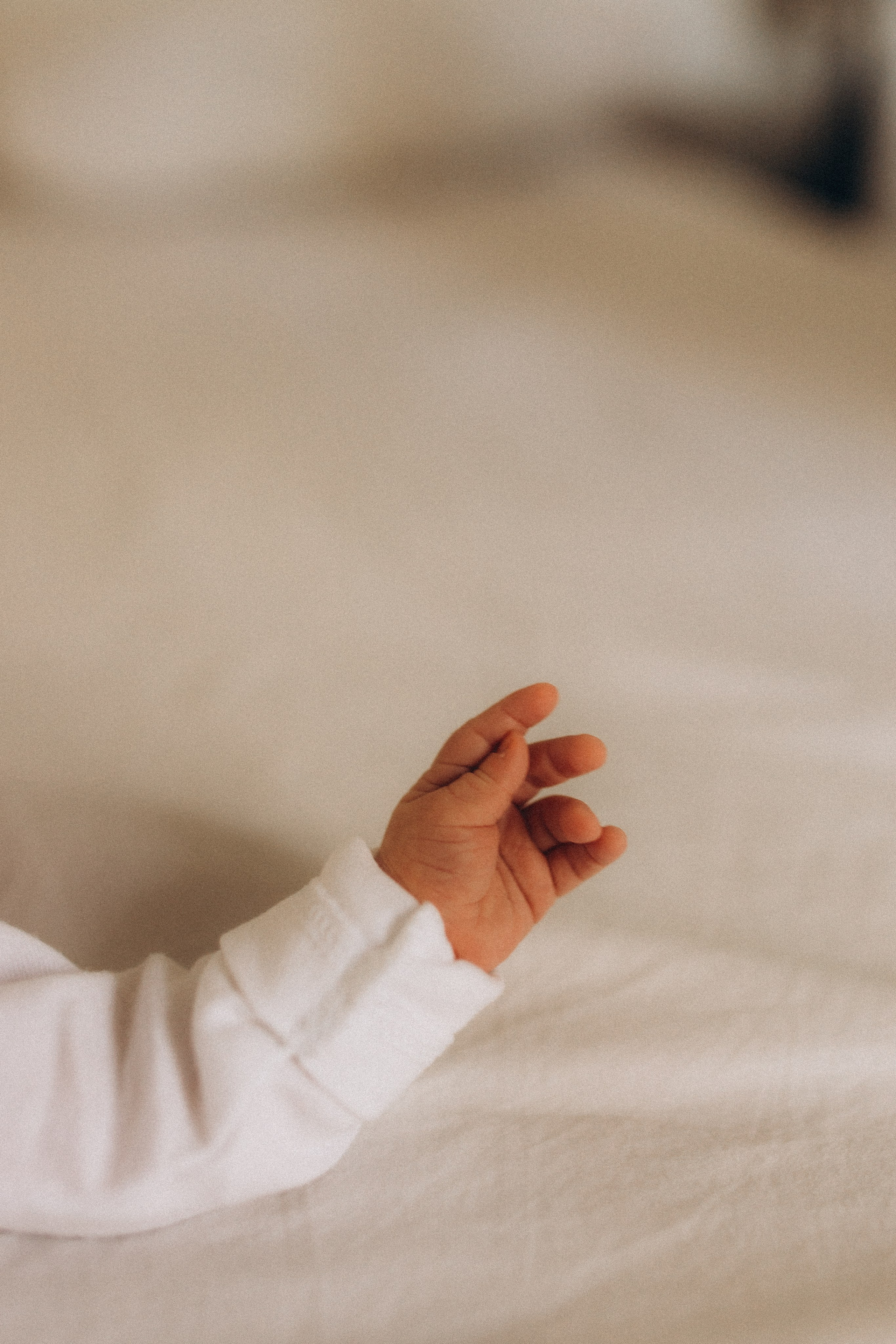 Shayne, Alon, Yanay&Kedem