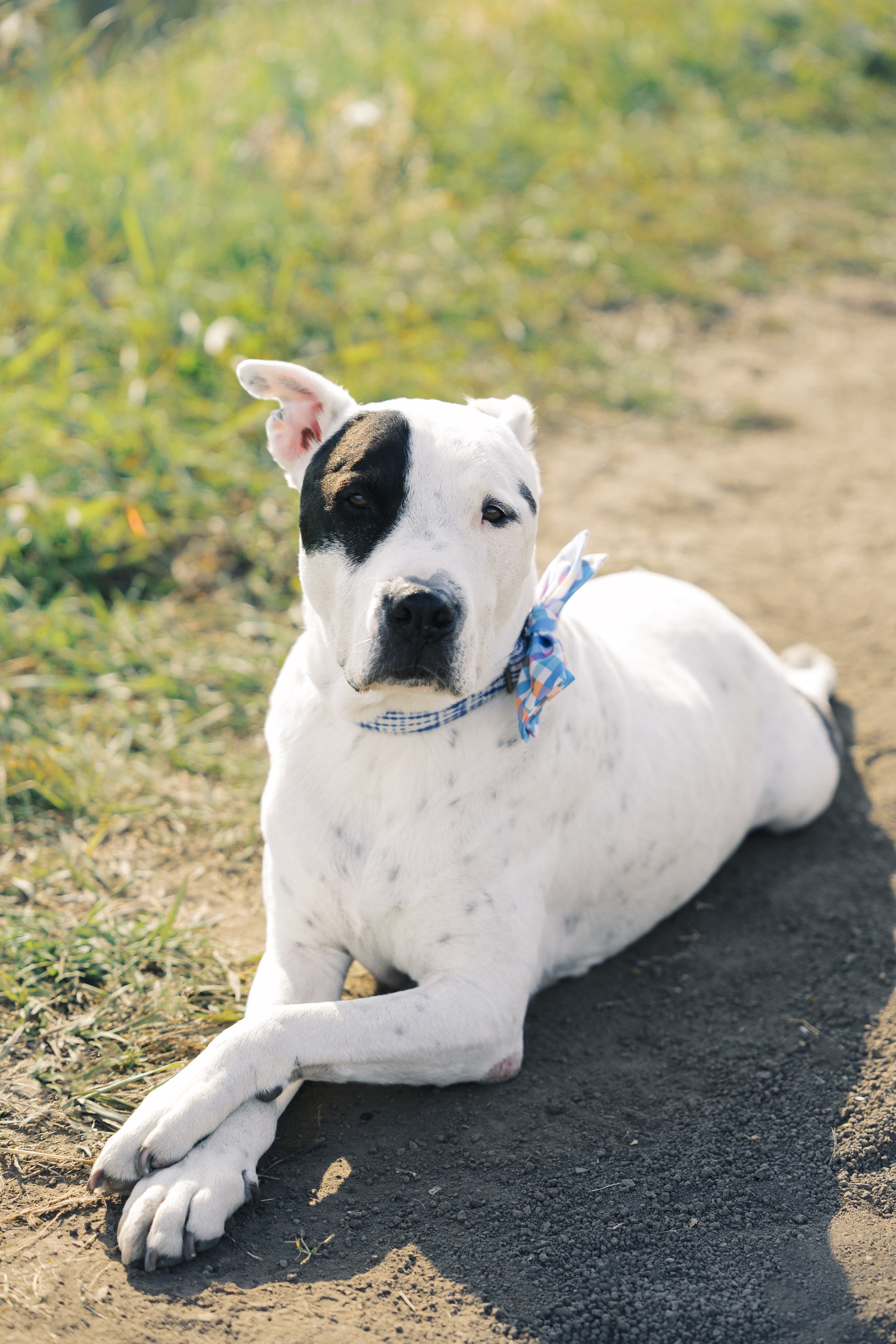 Aleksandra’s family. Home