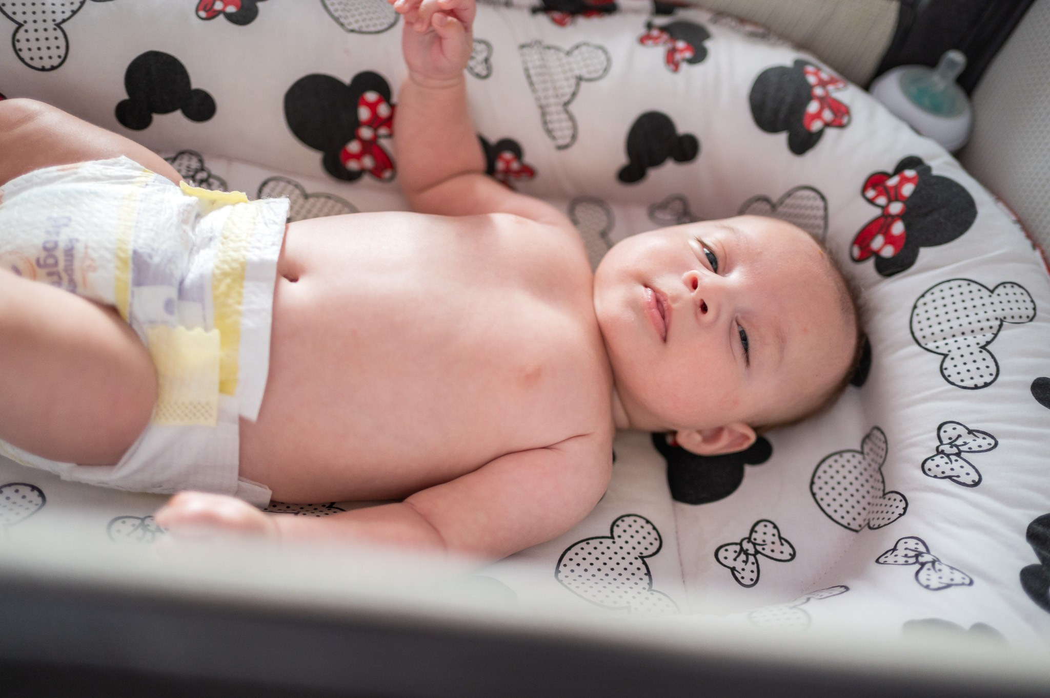 Wedding Andreia & Ionut. Daniel Rotaru Photography