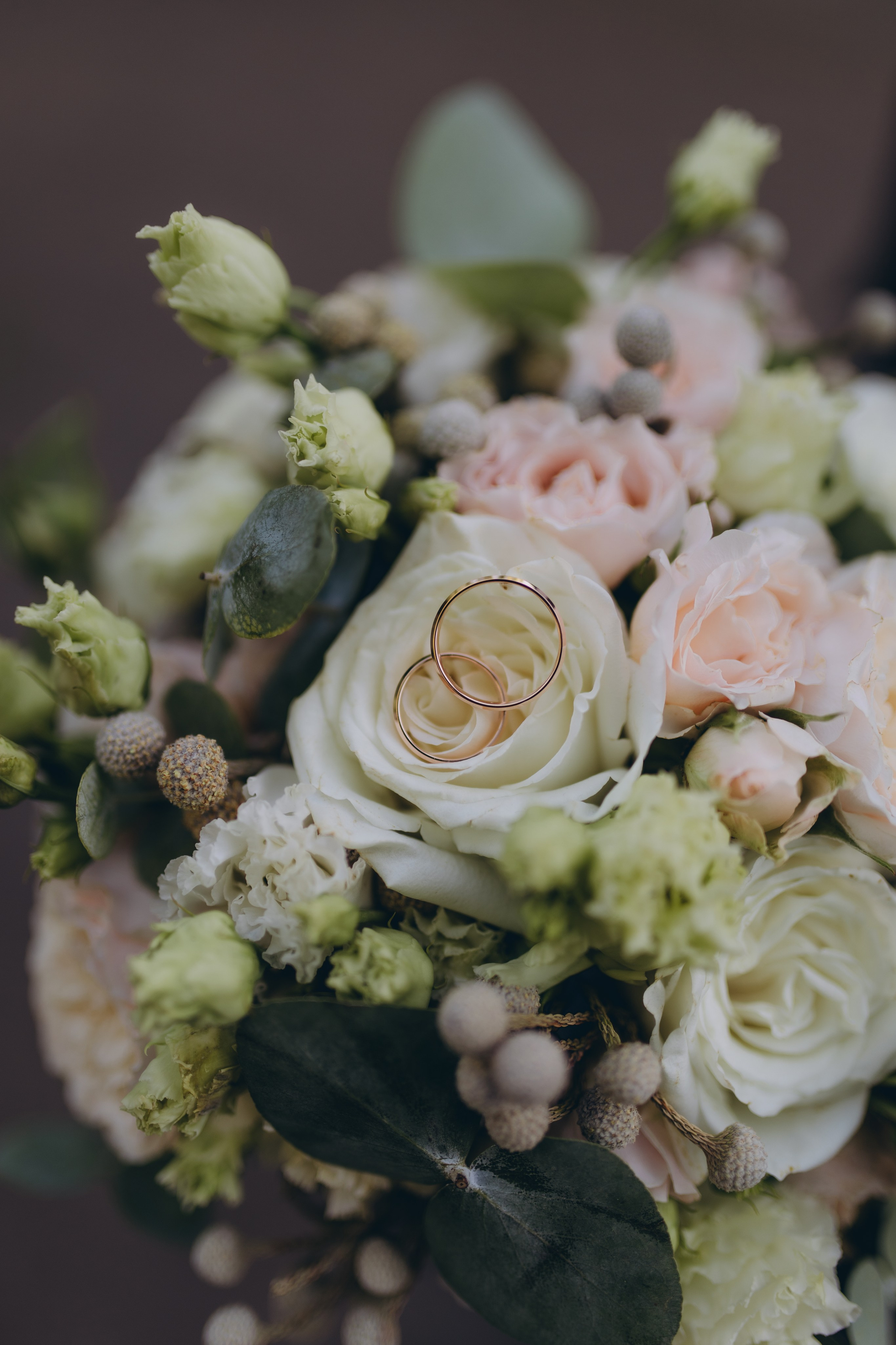 Family and Wedding photographer Anastasiia Lysenko