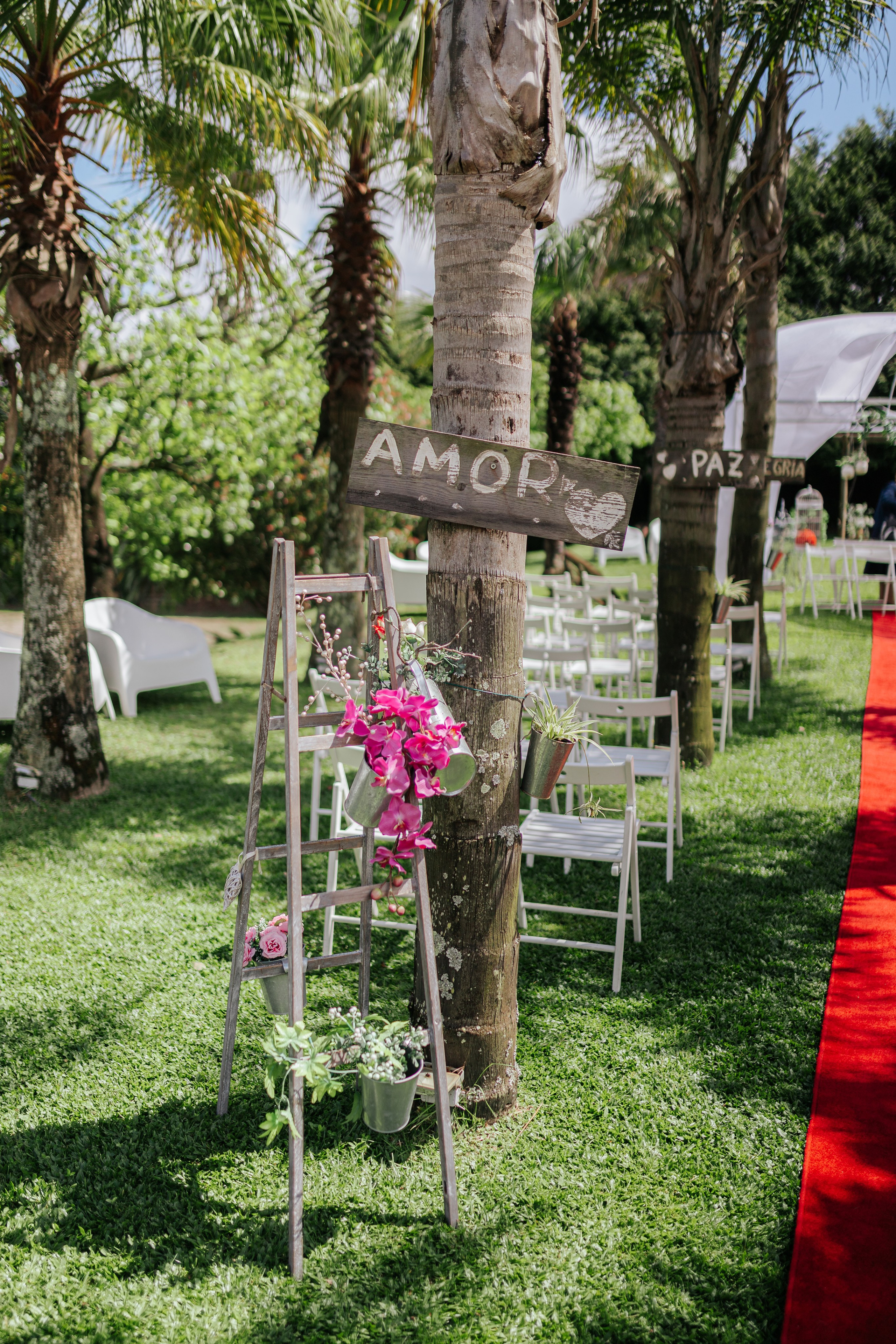 Casamento Pedro e Sofia. Davi Valente