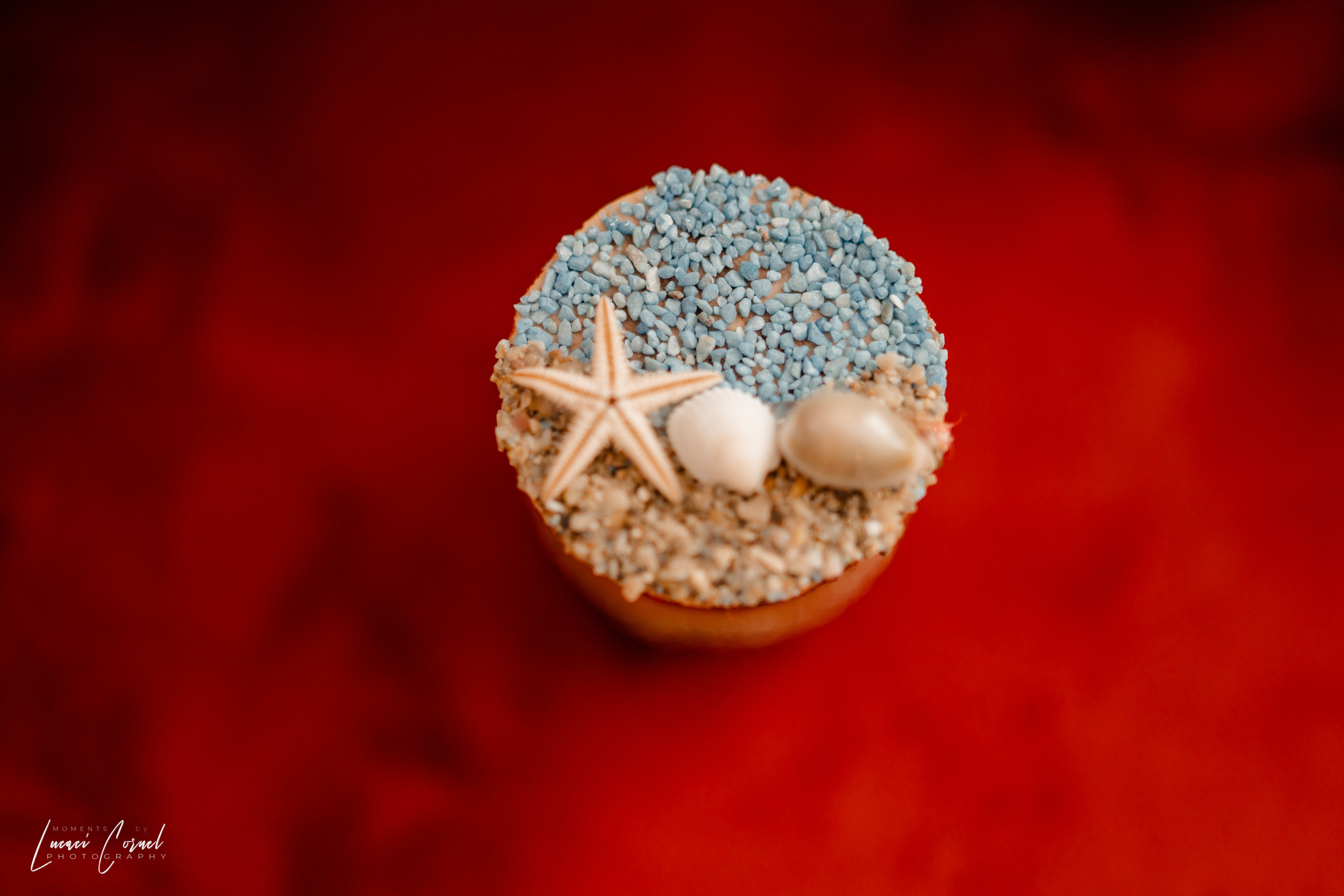 Familie – Amintiri de neuitat. Fotograf de nuntă, corporate, botezuri, majorate și aniversări Roman, Lucaci Cornel