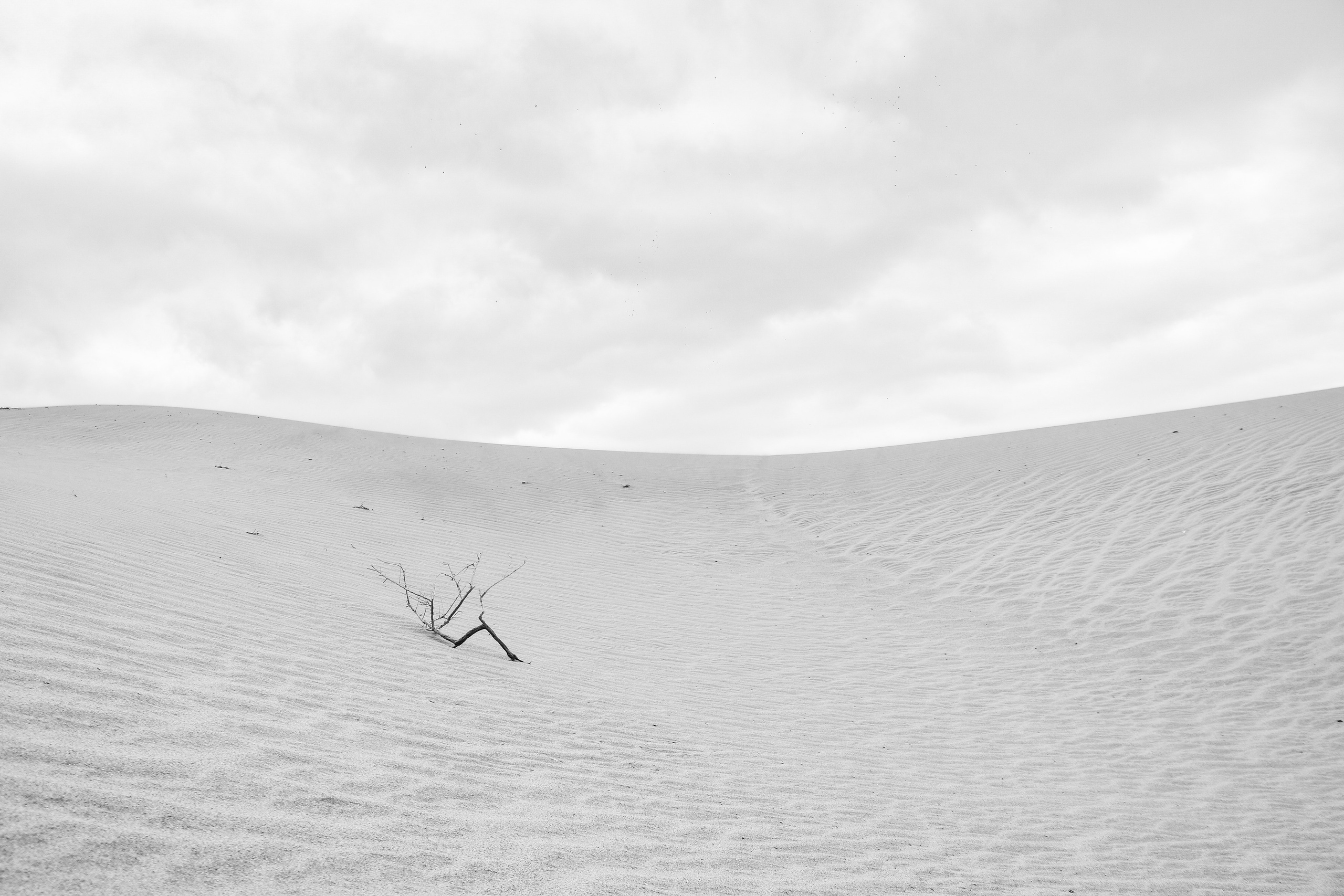 Gran Canaria 2025. Photographer Marina, city of Nuremberg