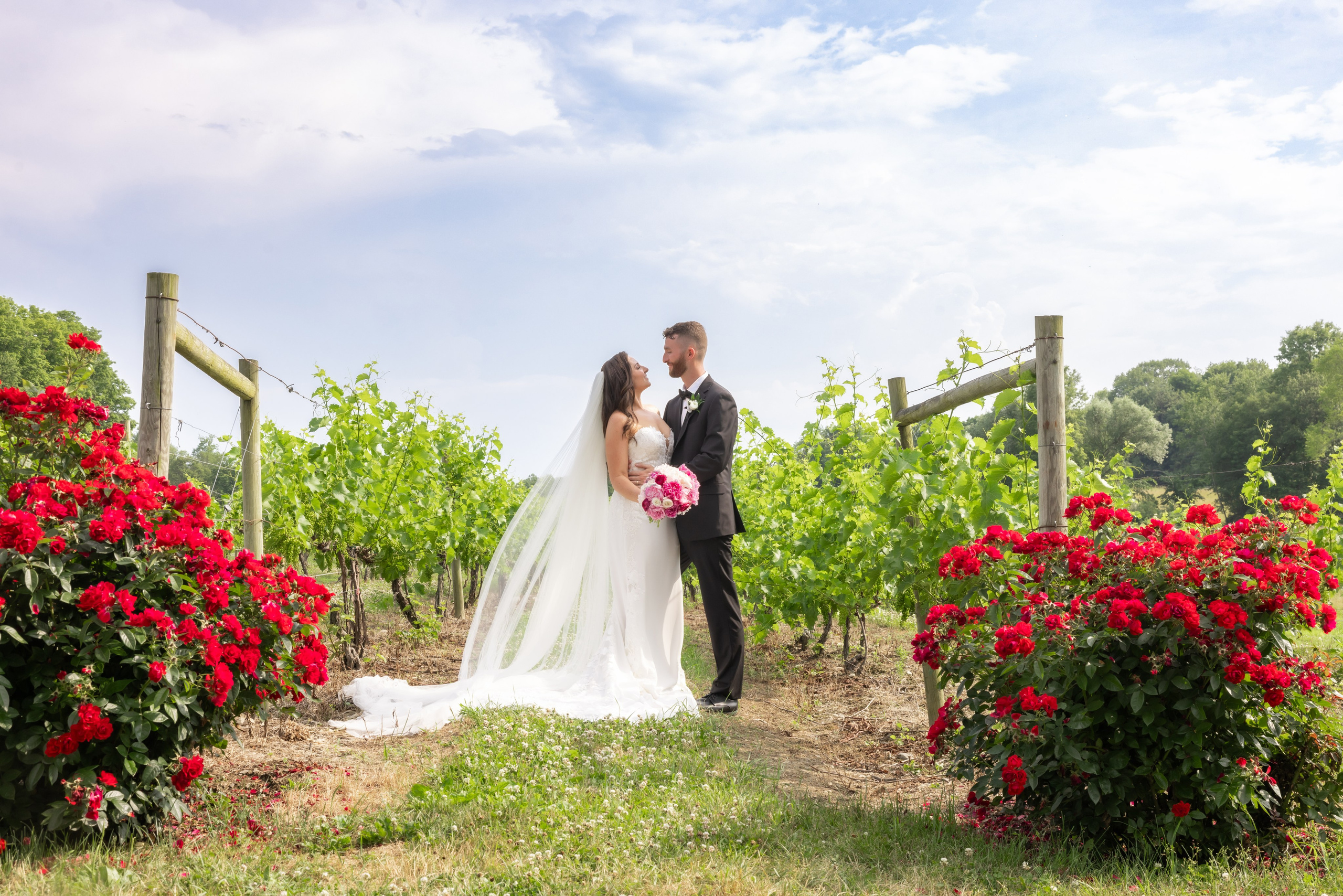 Angelica & Conor. Wedding Photo & Video