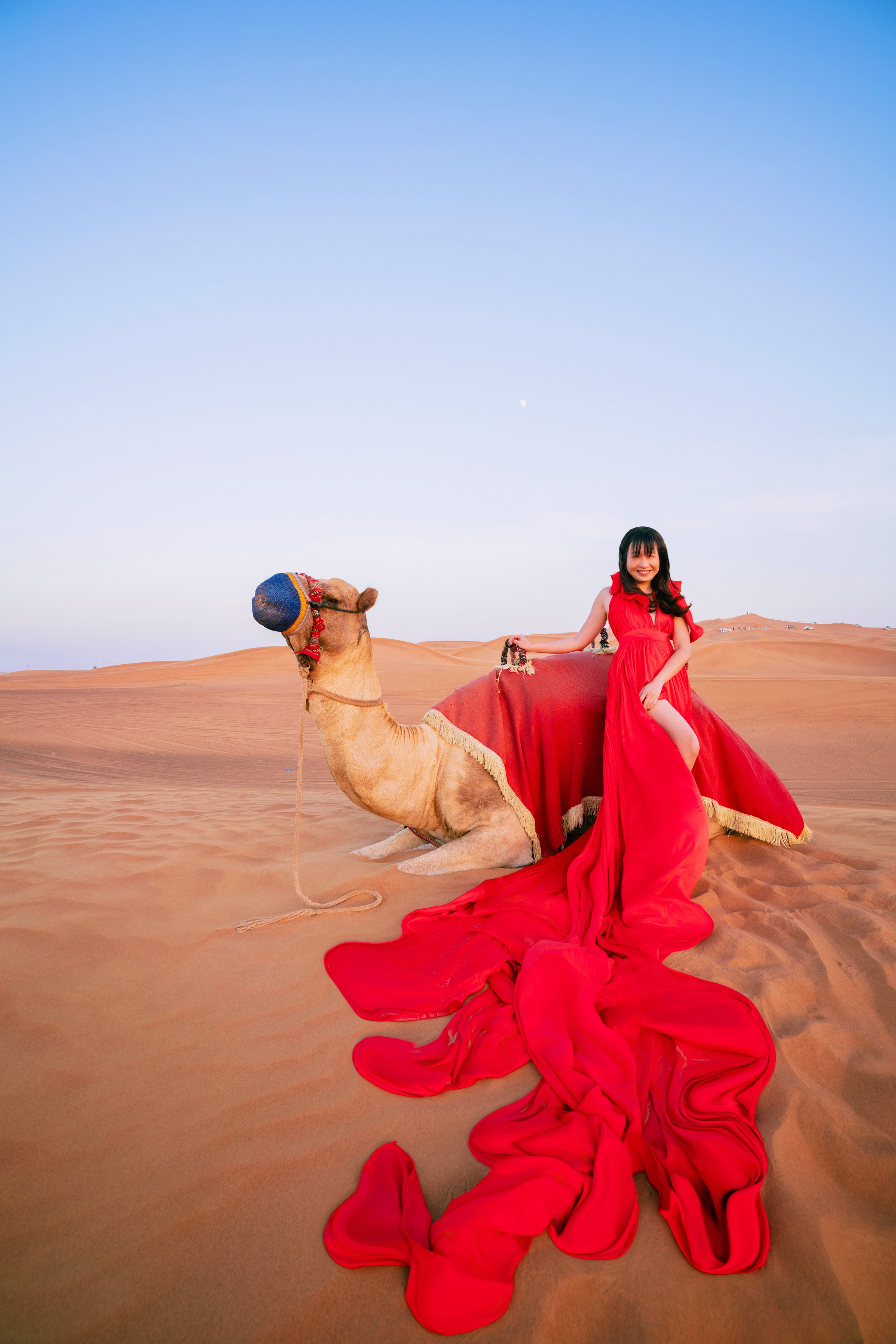 With horses and camels. Photographer and videographer in Dubai Dmitry Gromov