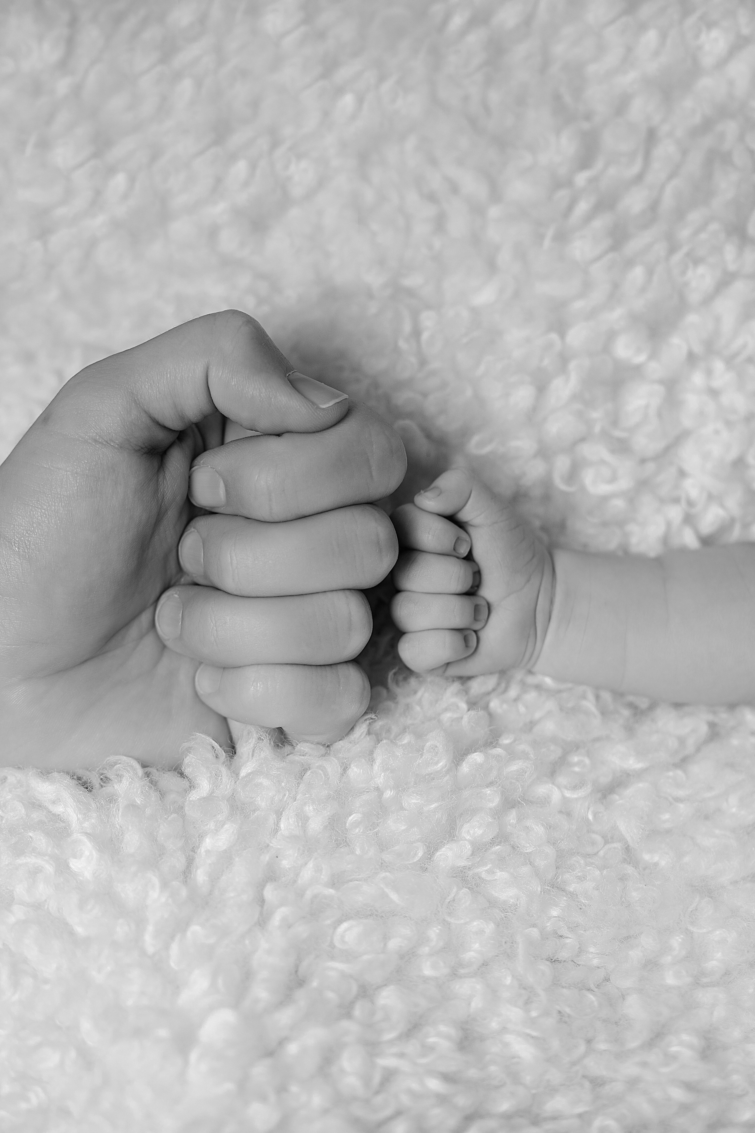 Newborn studio. Bébé Newborn Photographer in Copenhagen