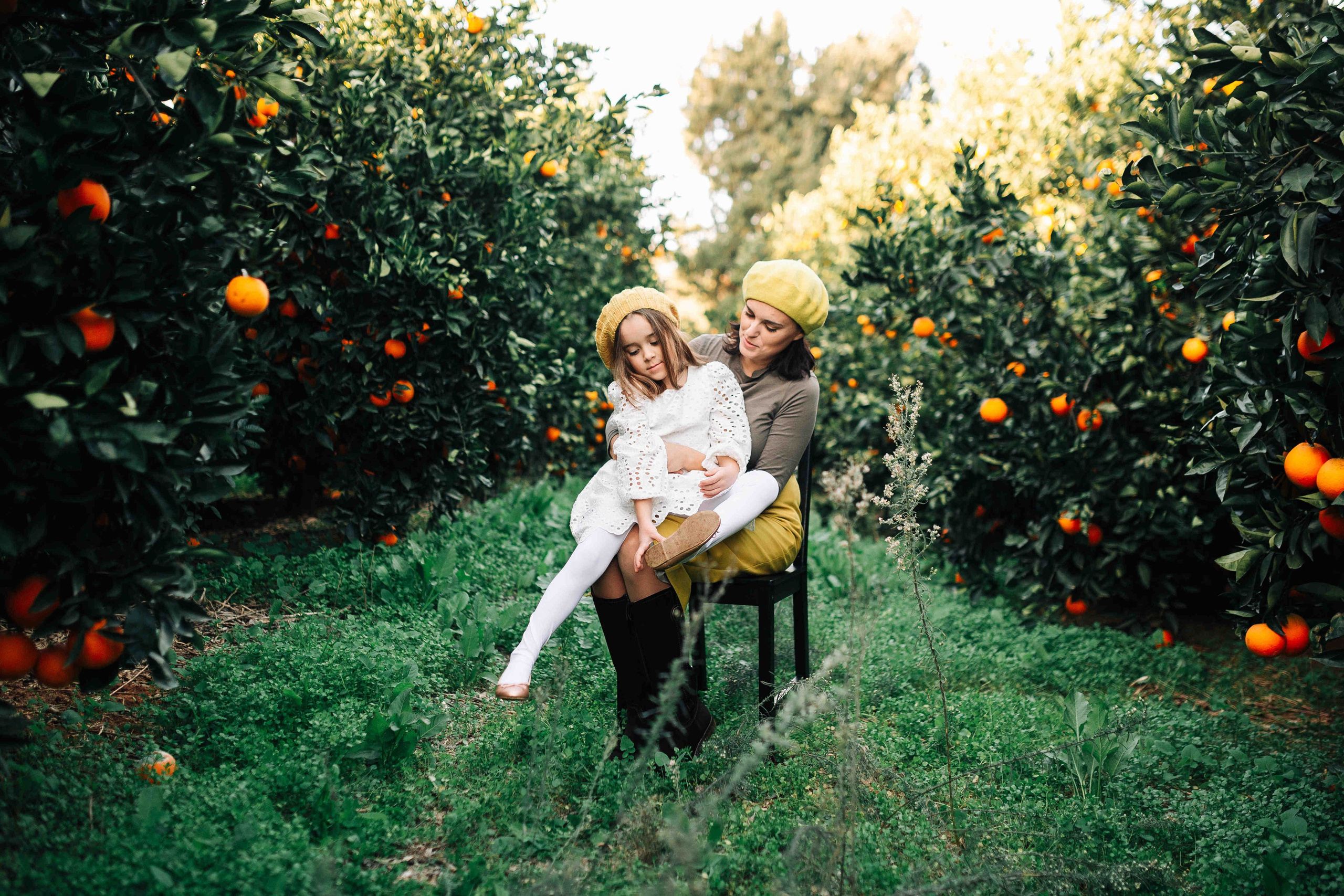 MANDARNINE GARDEN. Https://shi-photo.com/