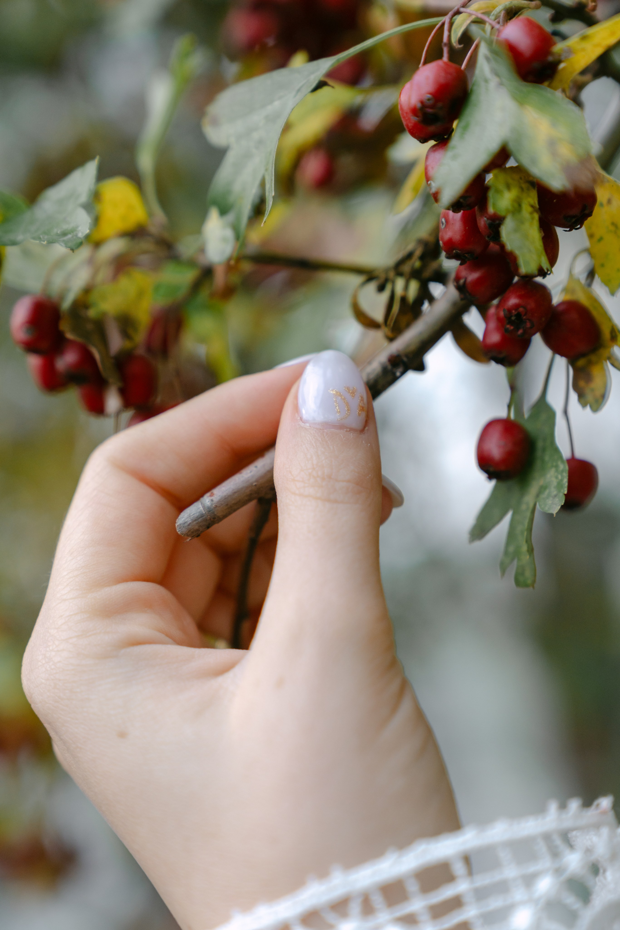 Denisa | Andrei. Gabrielacojocariu.com