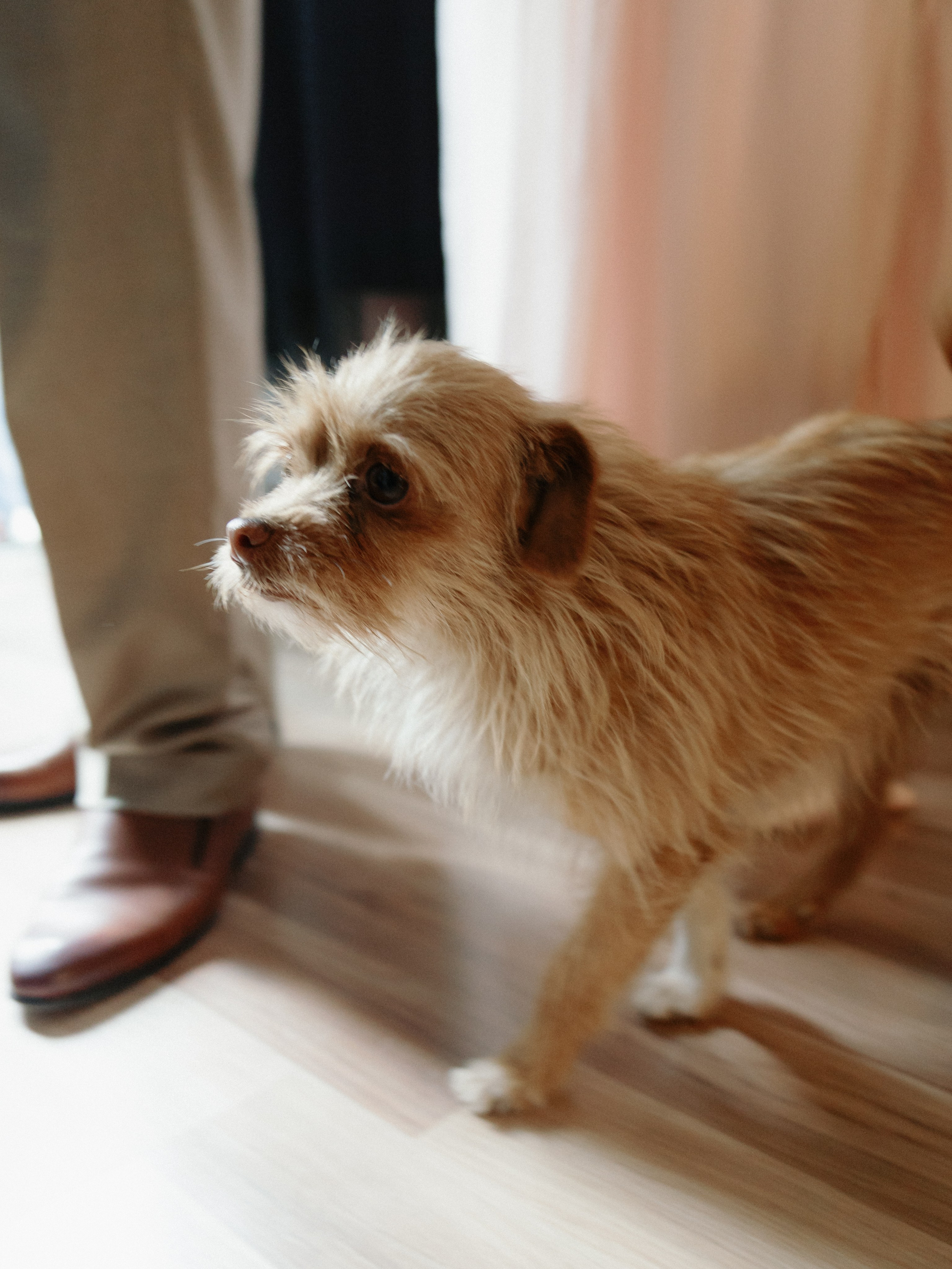 Daniela & Ioan. STORYCATCHERS