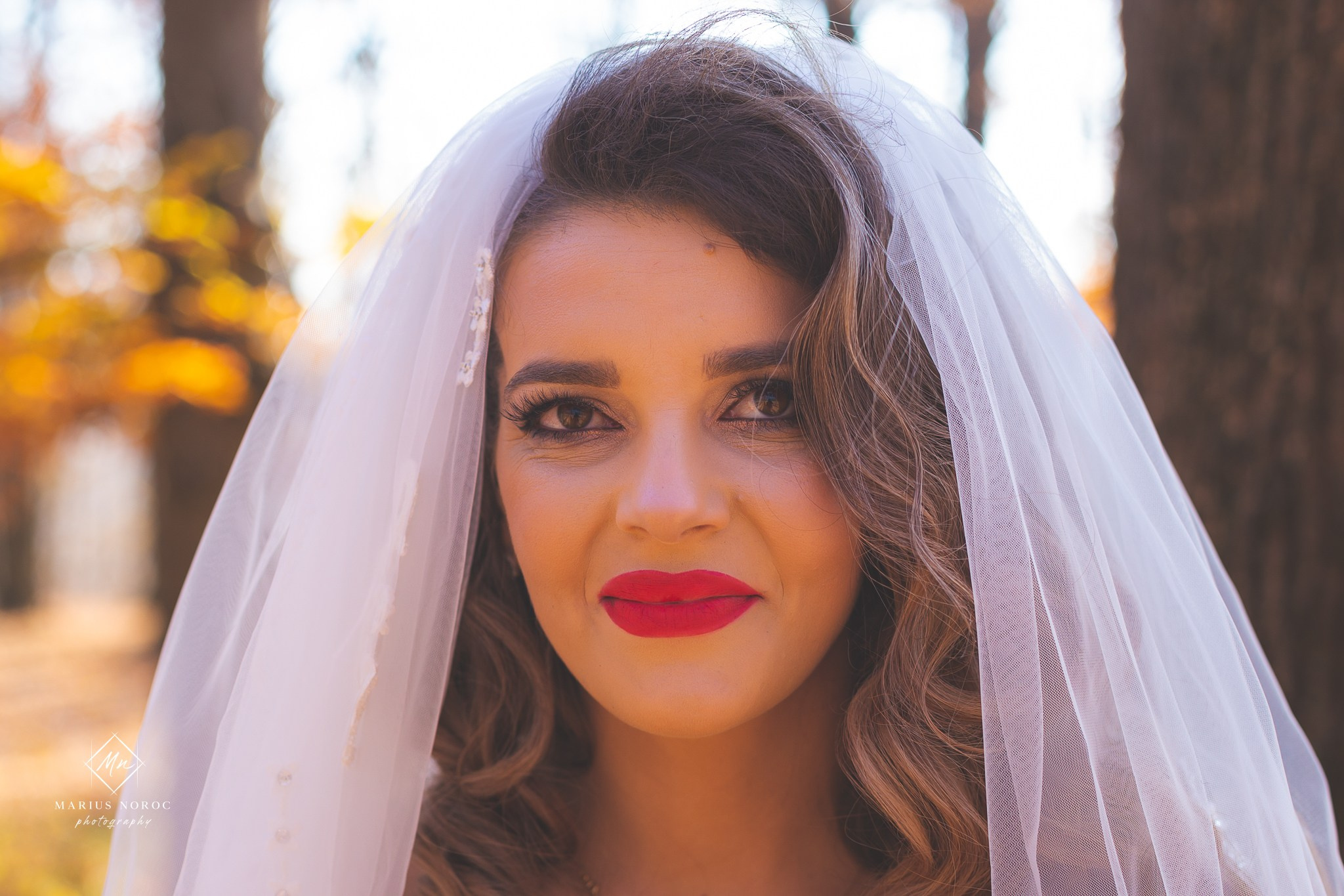 Alexandra & Alin | Padurea Bucium Iasi