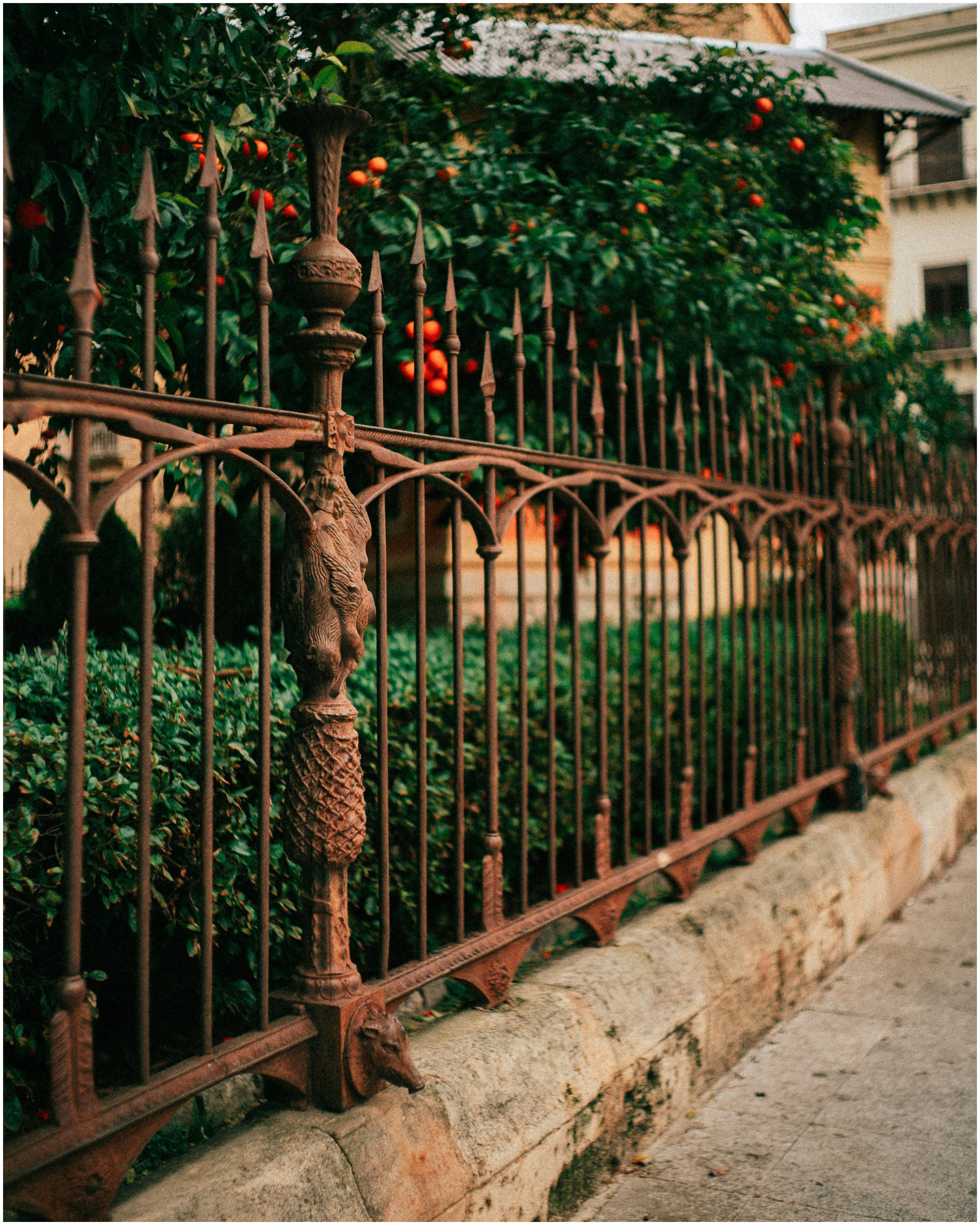 PALERMO. Photographer Inna Mendelson