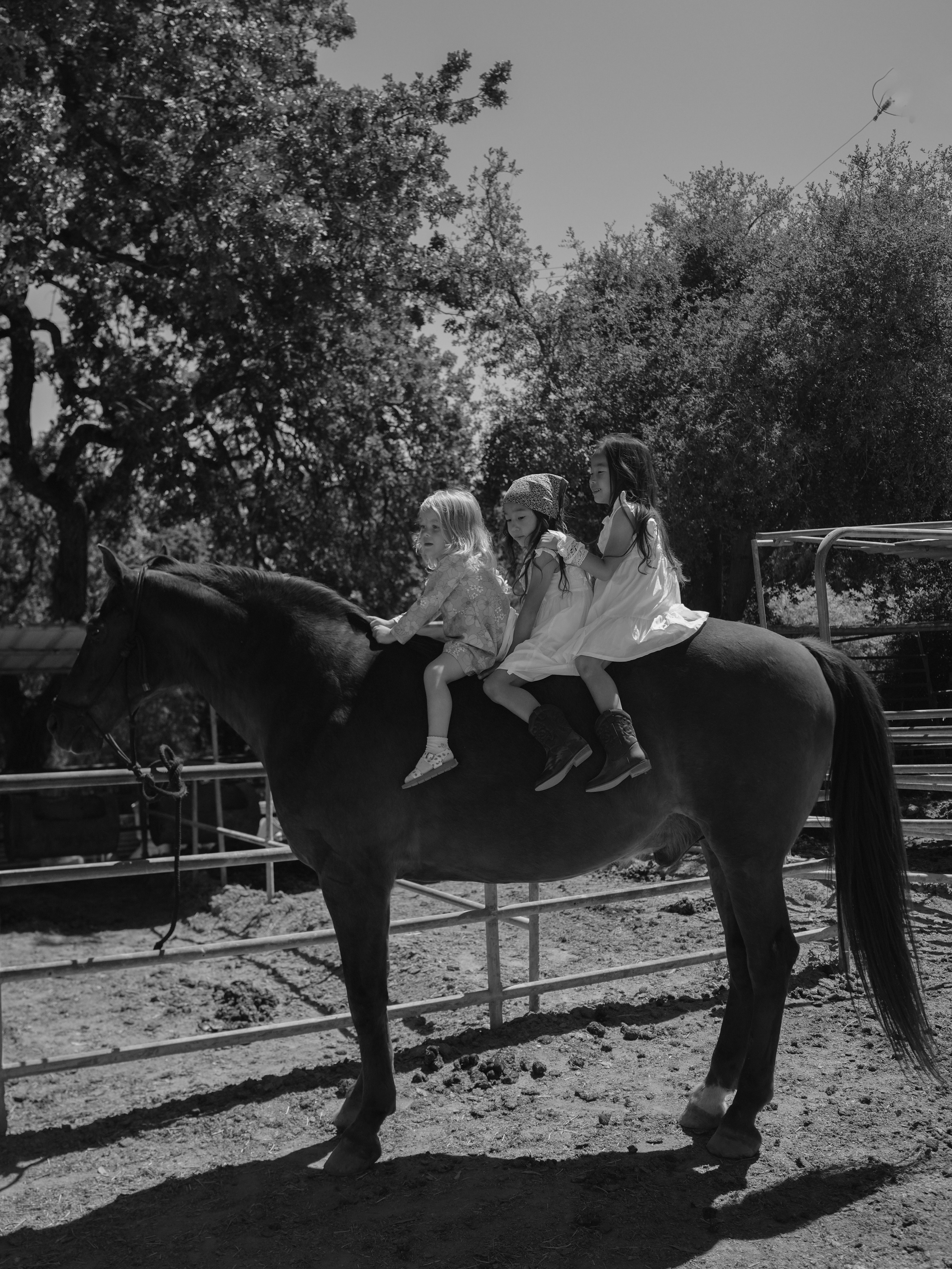 Children with horses. Фотограф и видеограф в США (и по всему миру) — Татьяна Иванова