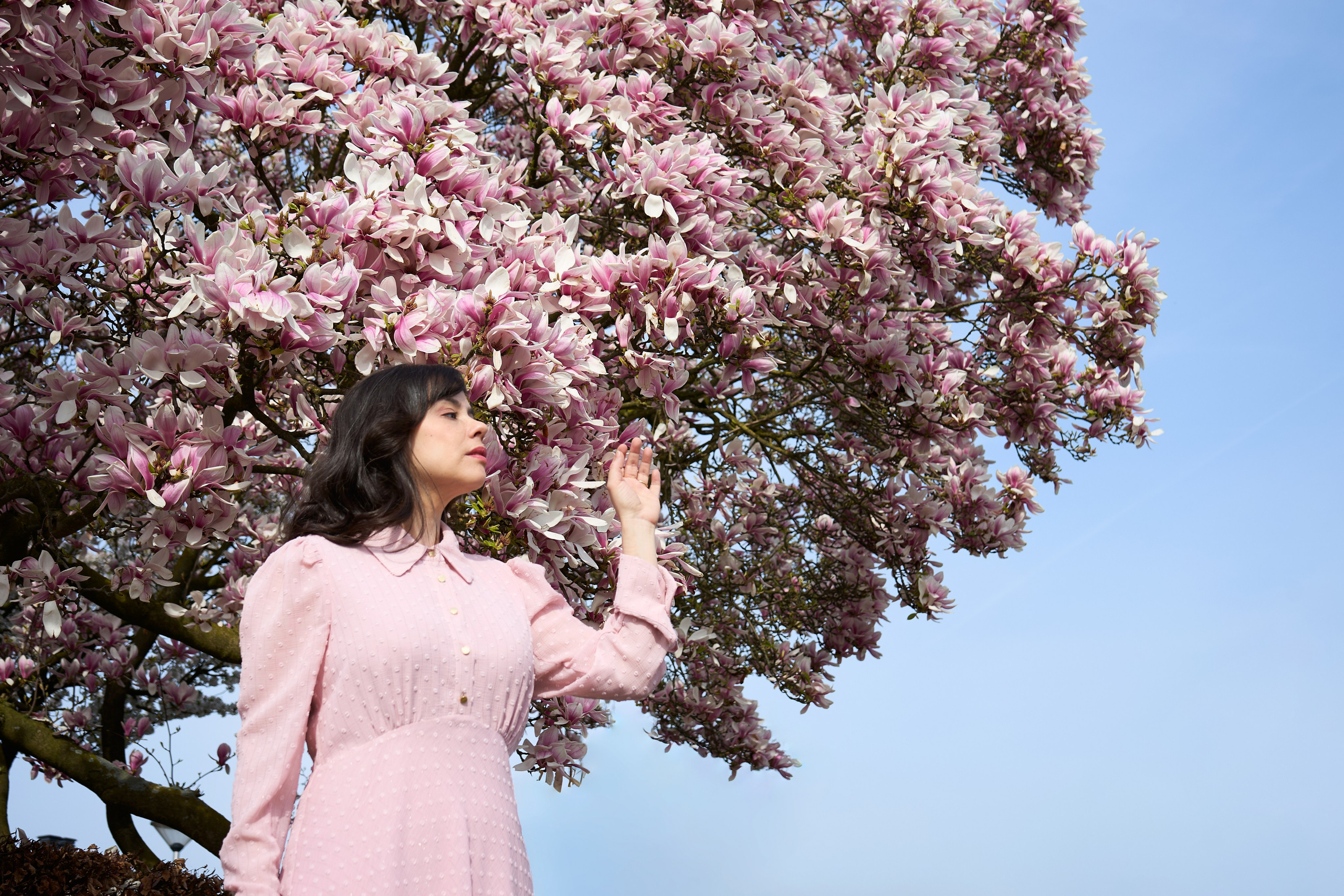 Ana Carolina. Visual content creator, photographer in Eindhoven Anastasia Sarkisova